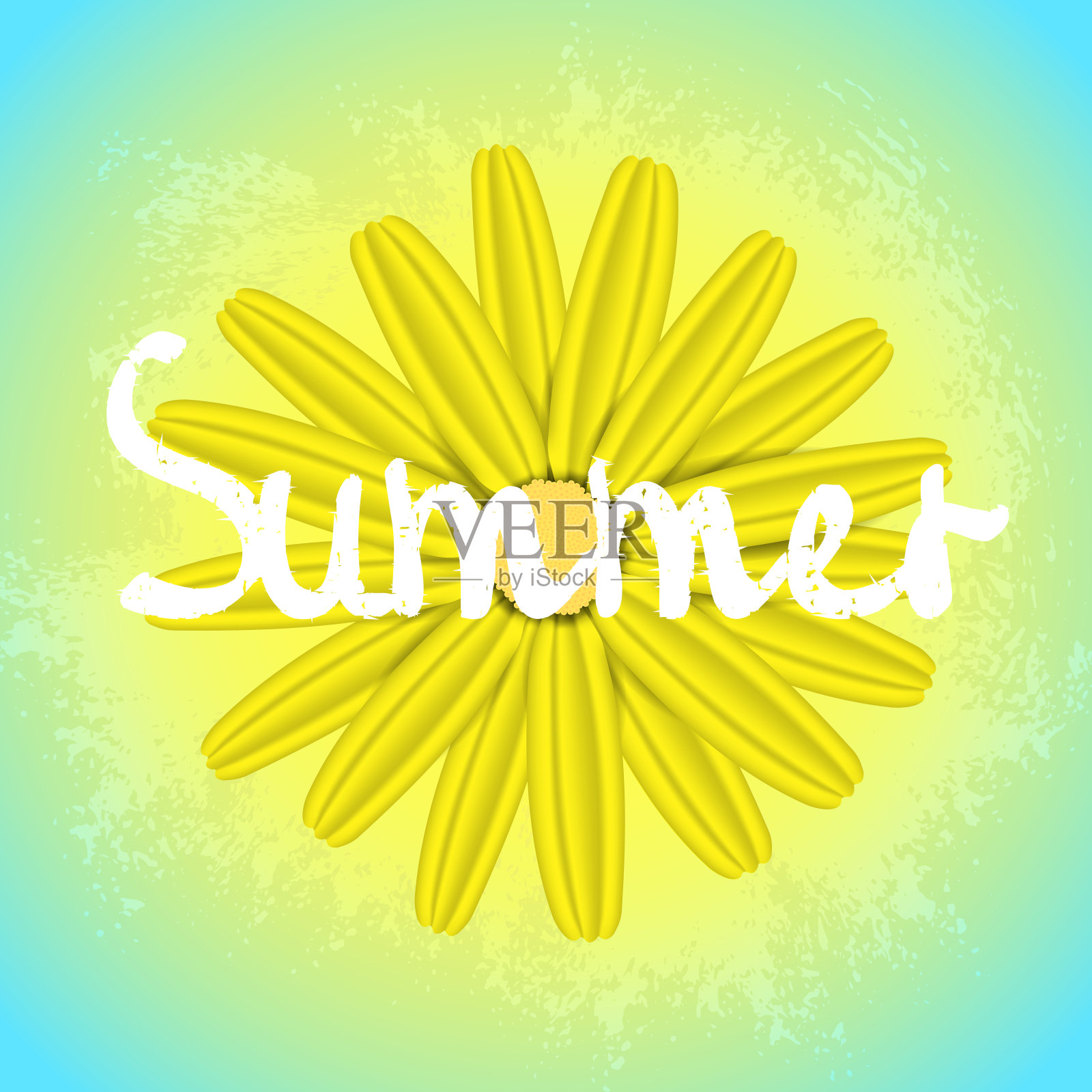 夏天的背景是黄色和蓝色。一种黄色的洋甘菊花插画图片素材