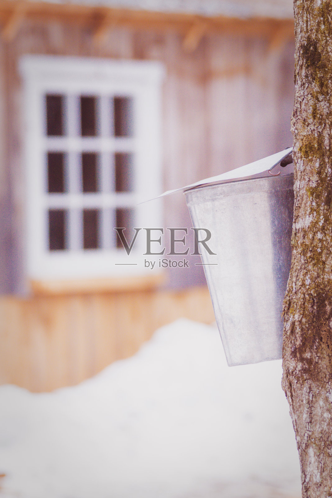 枫水锅炉照片摄影图片