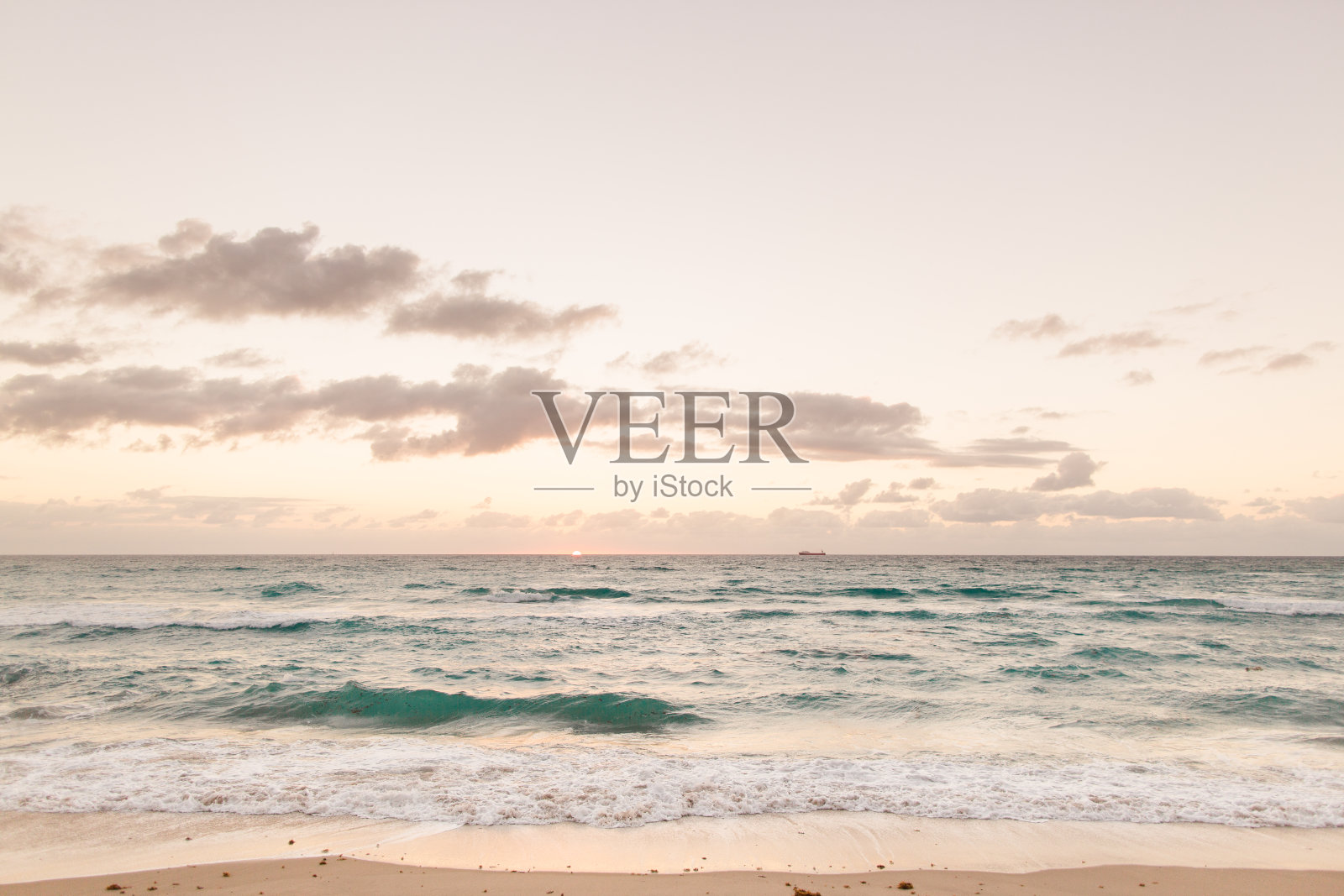 佛罗里达日出棕榈滩照片摄影图片