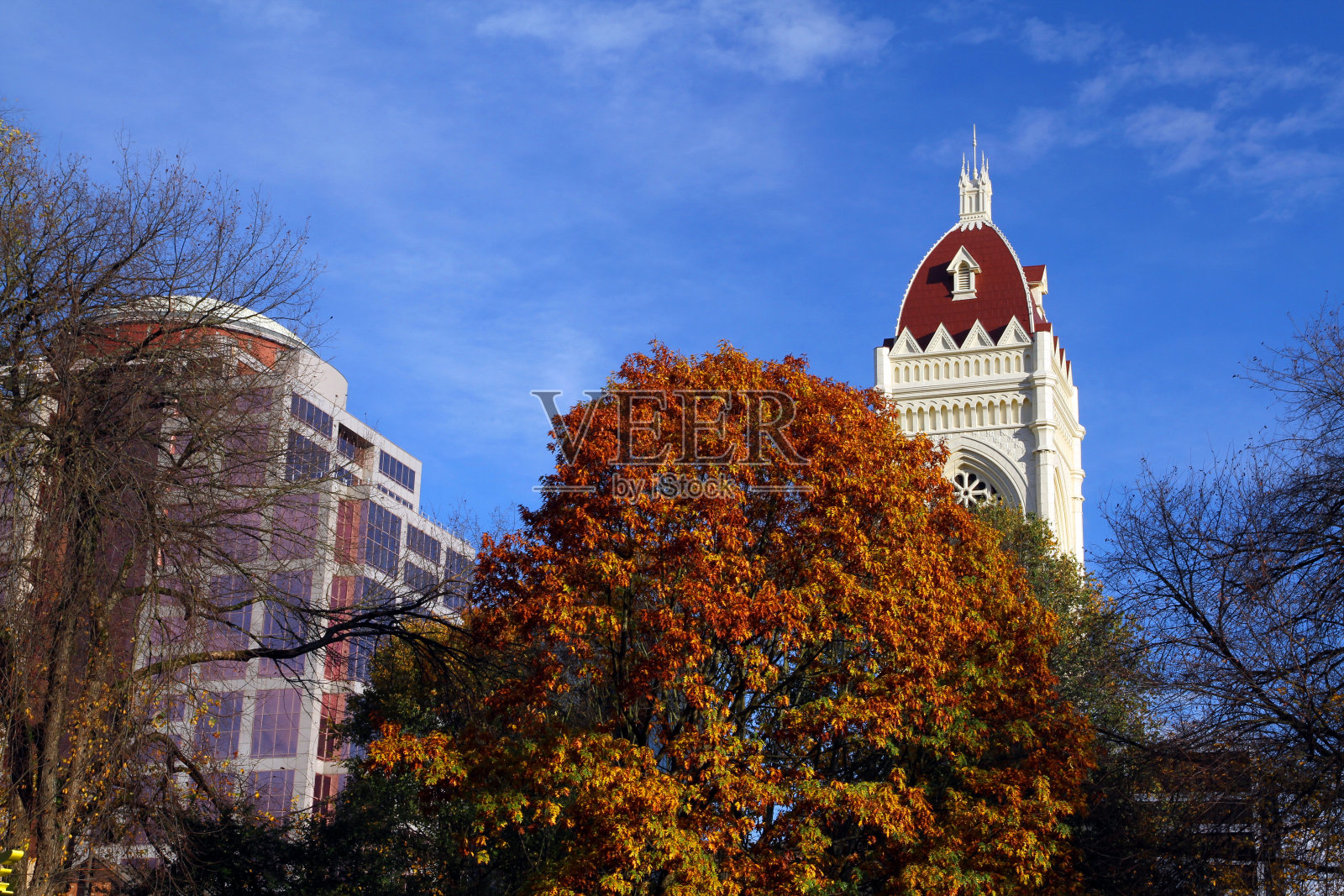 秋天波特兰照片摄影图片