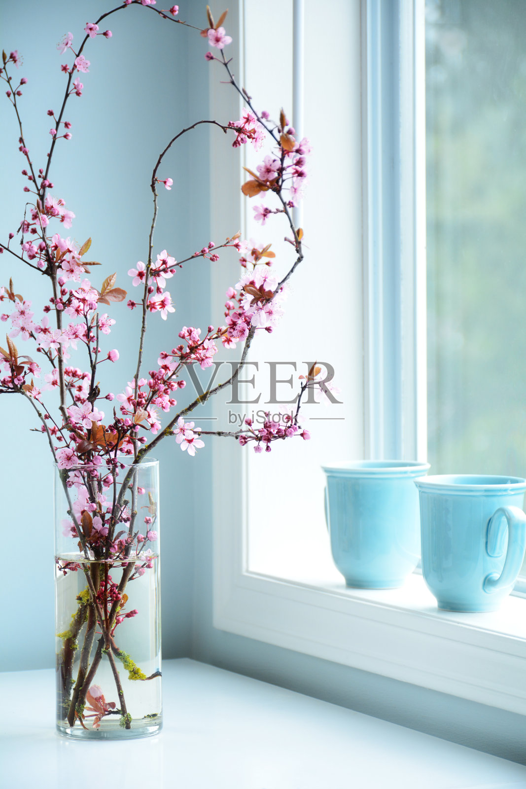 花瓶里的樱花照片摄影图片