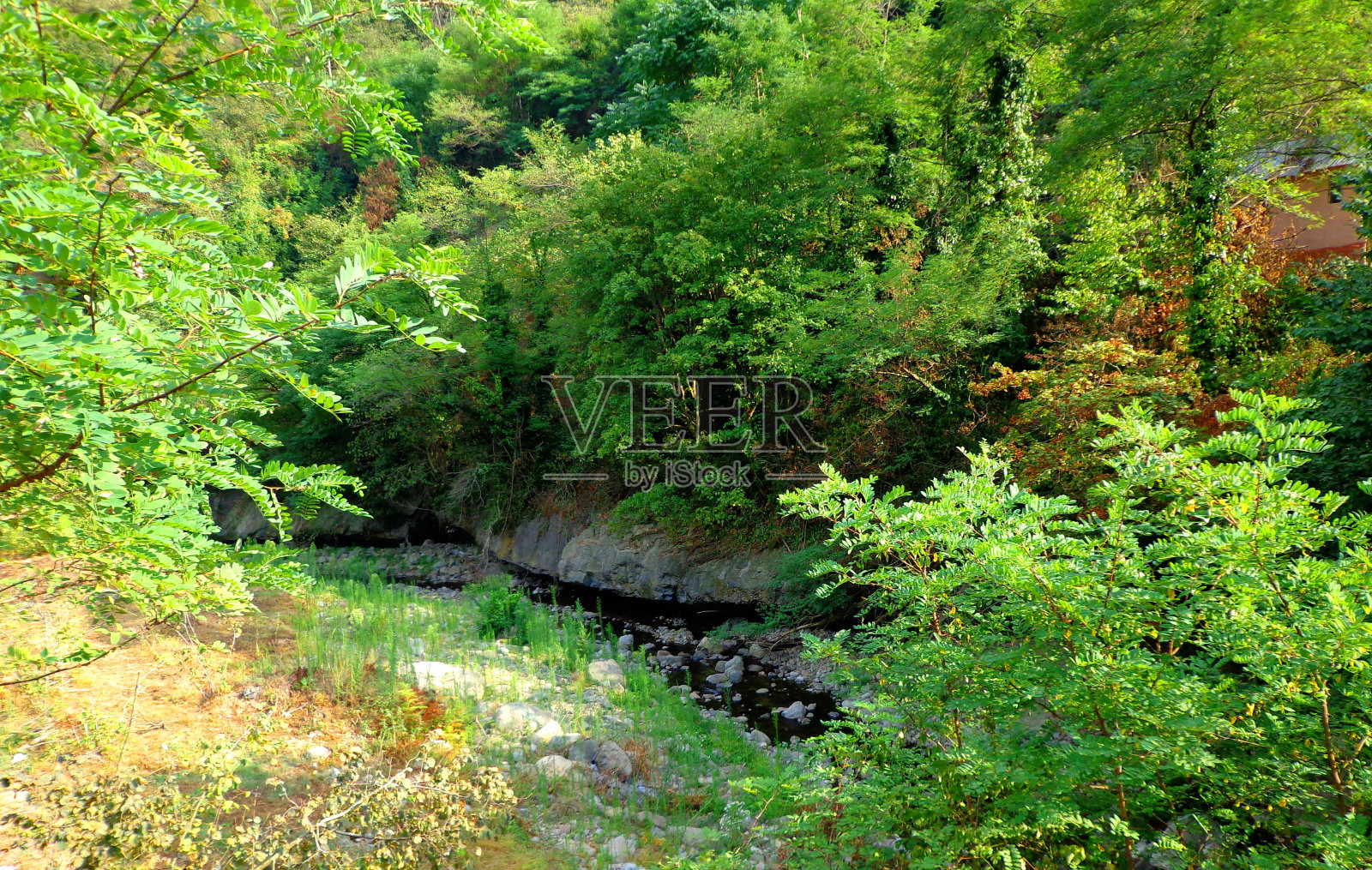 黑海地区的自然风光照片摄影图片