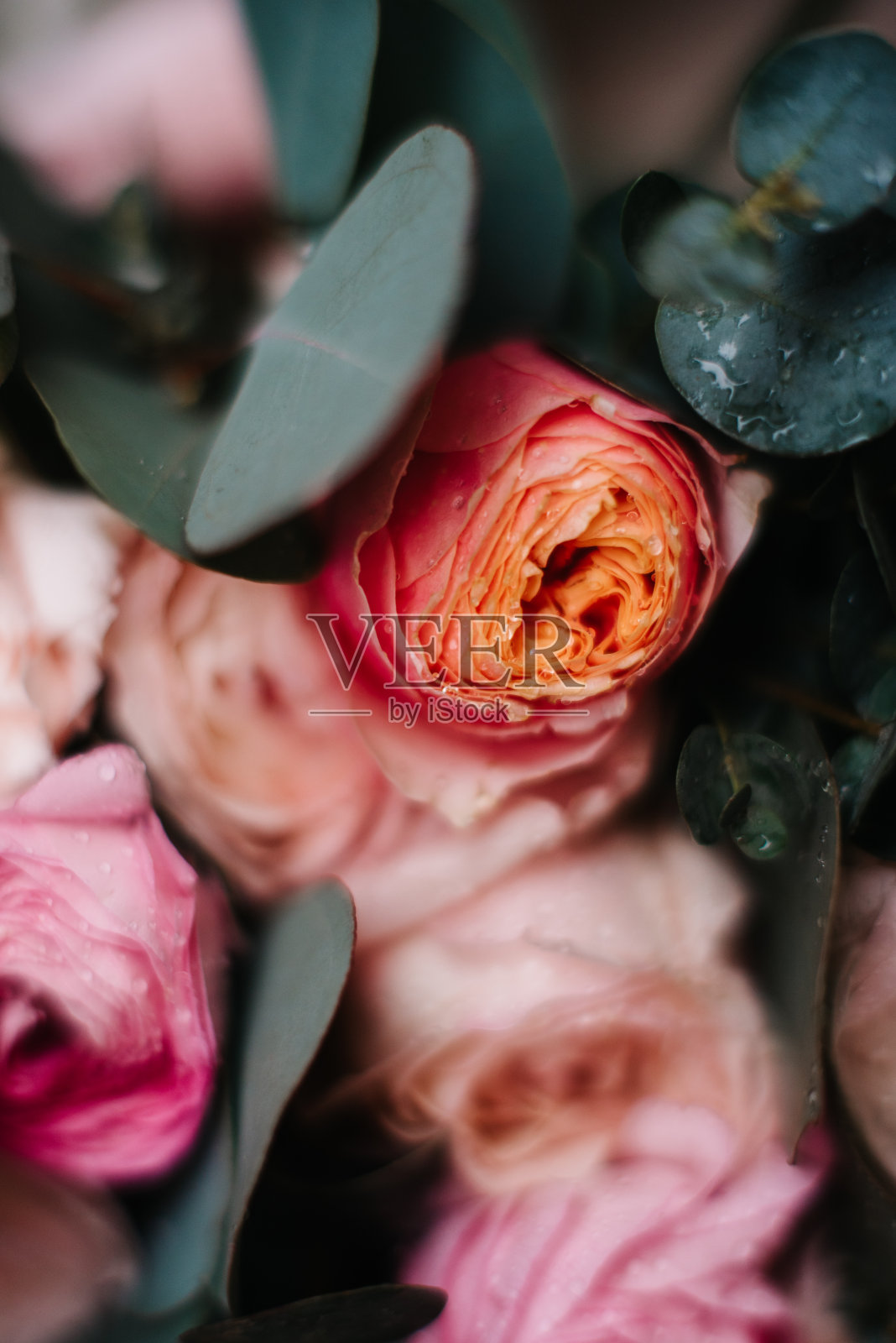 婚礼牡丹花束,石丝带照片摄影图片