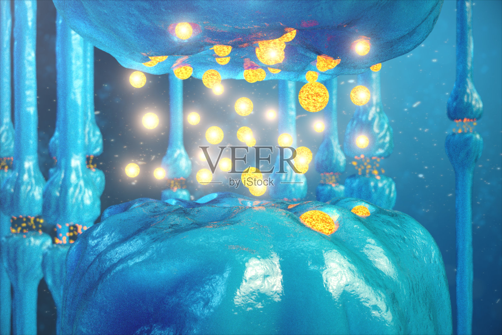 突触传递,人类的神经系统。大脑神经突触。传递突触,信号,大脑中的脉冲,细胞或原子层面的信息传递。三维渲染照片摄影图片