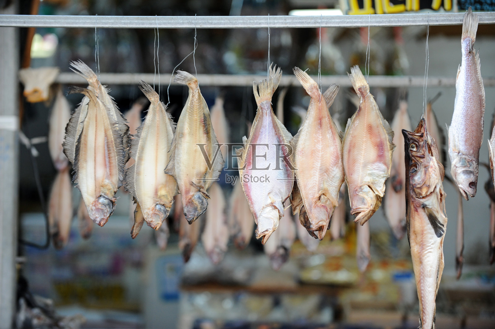鱼市场上挂的干鱼照片摄影图片
