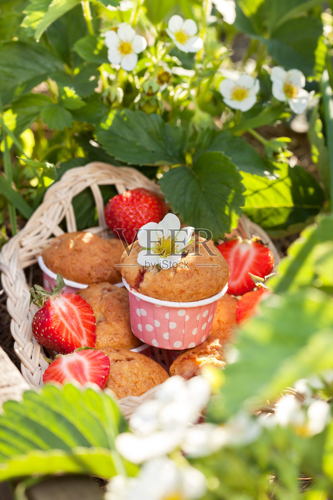 与草莓松饼照片摄影图片