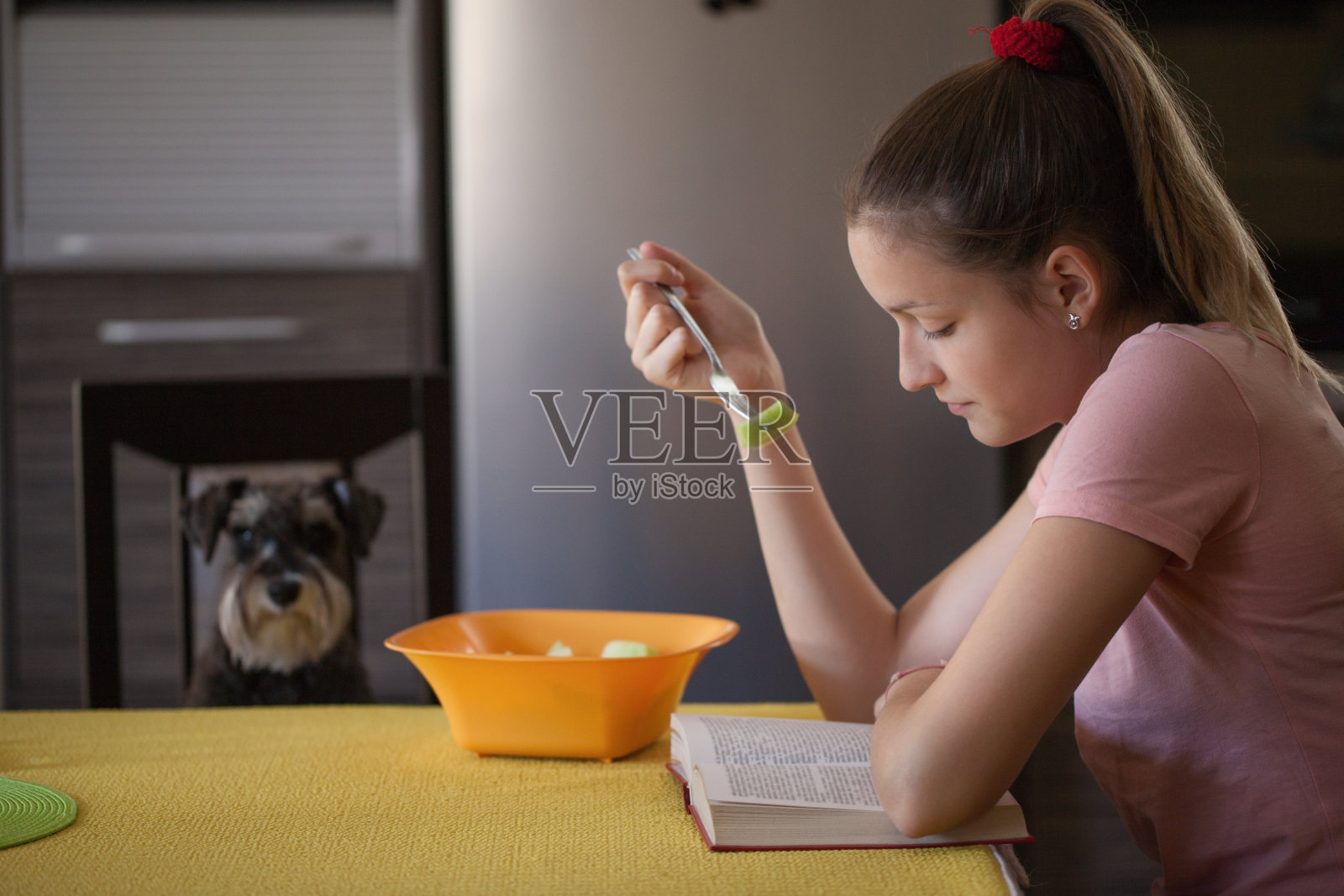美丽的少女在看书照片摄影图片