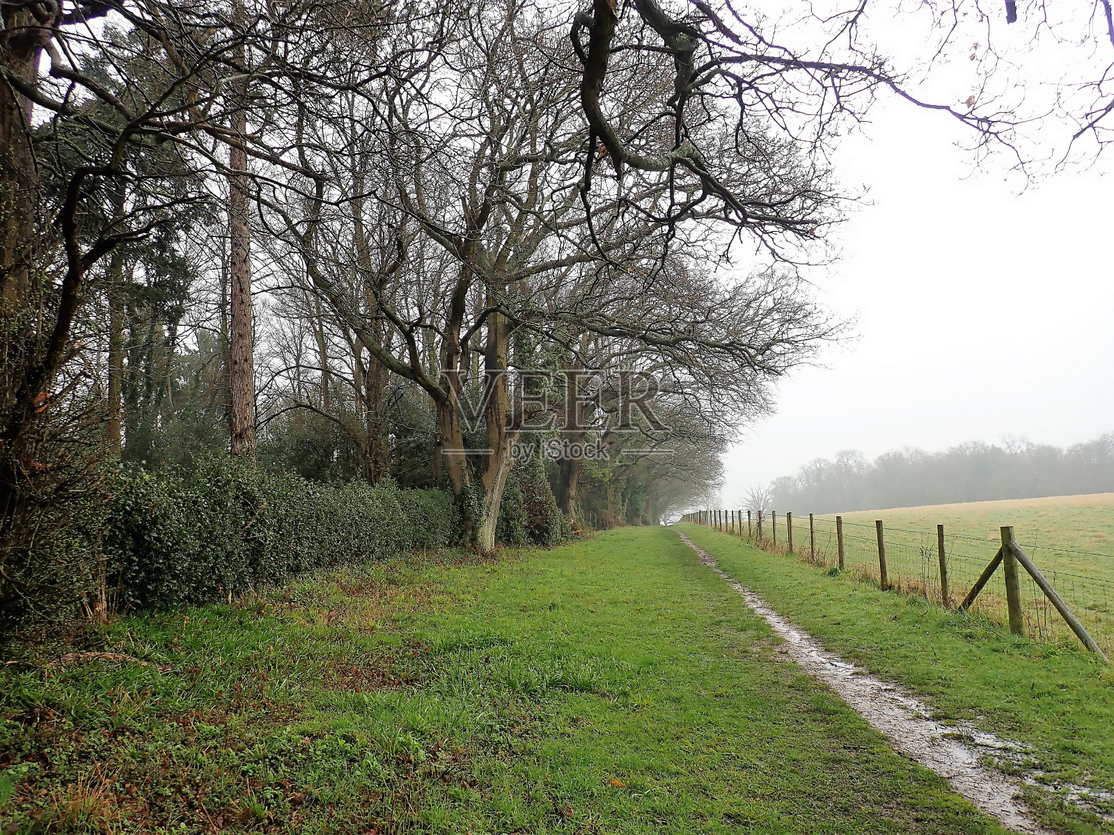 赫特福德郡,Chorleywood,绿树成荫的小路照片摄影图片