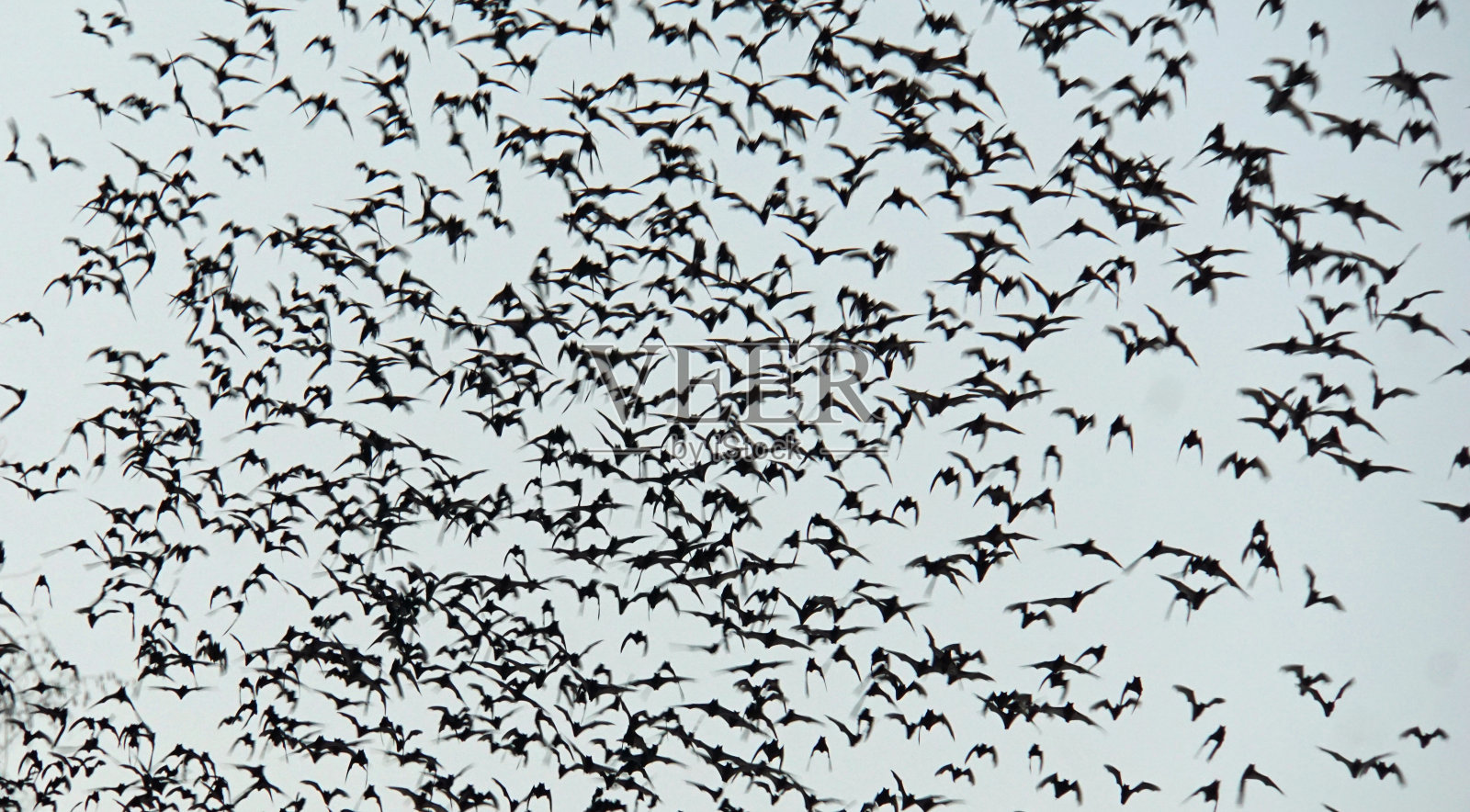 亚洲照片摄影图片