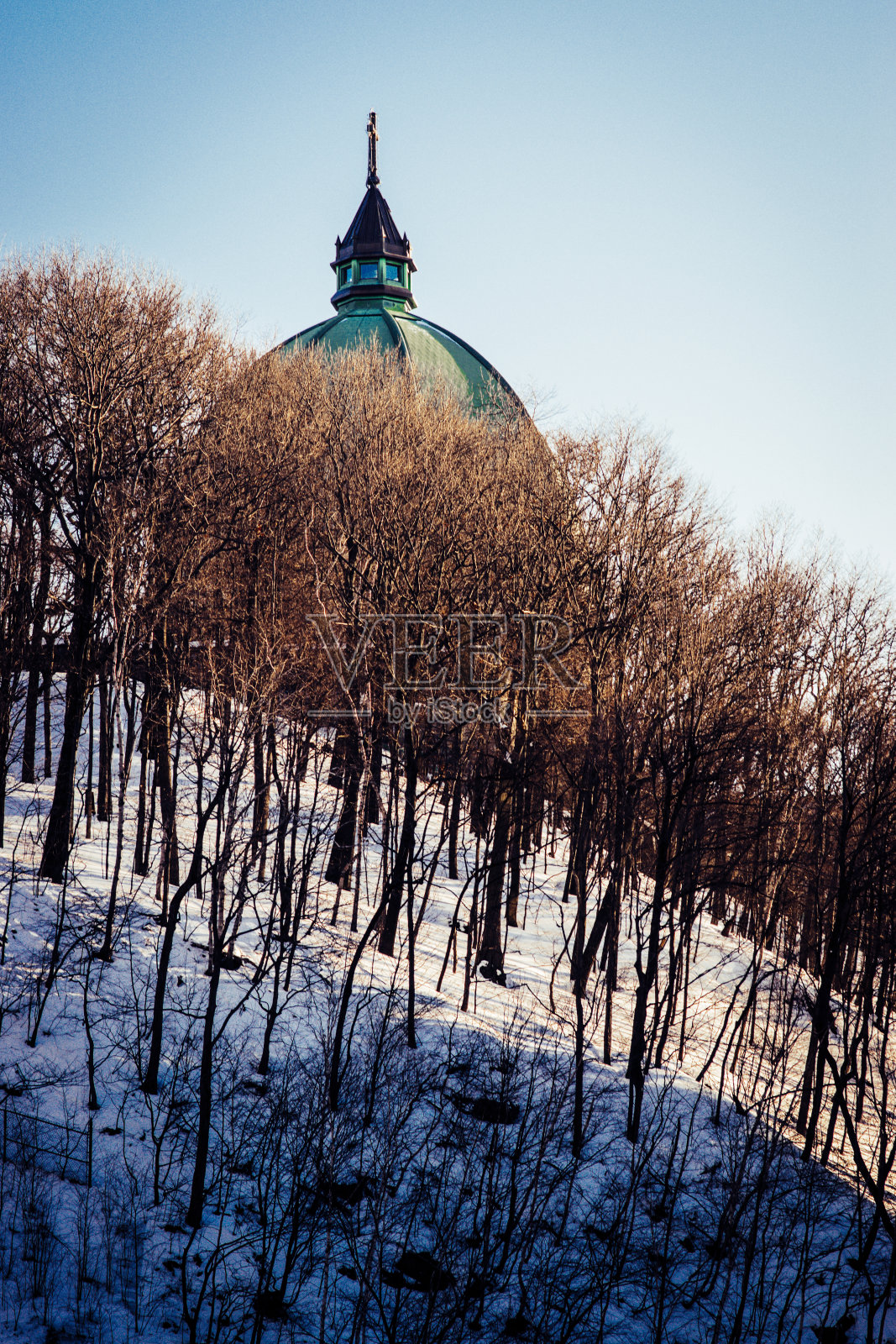 礼堂的圆顶穿透了树木照片摄影图片