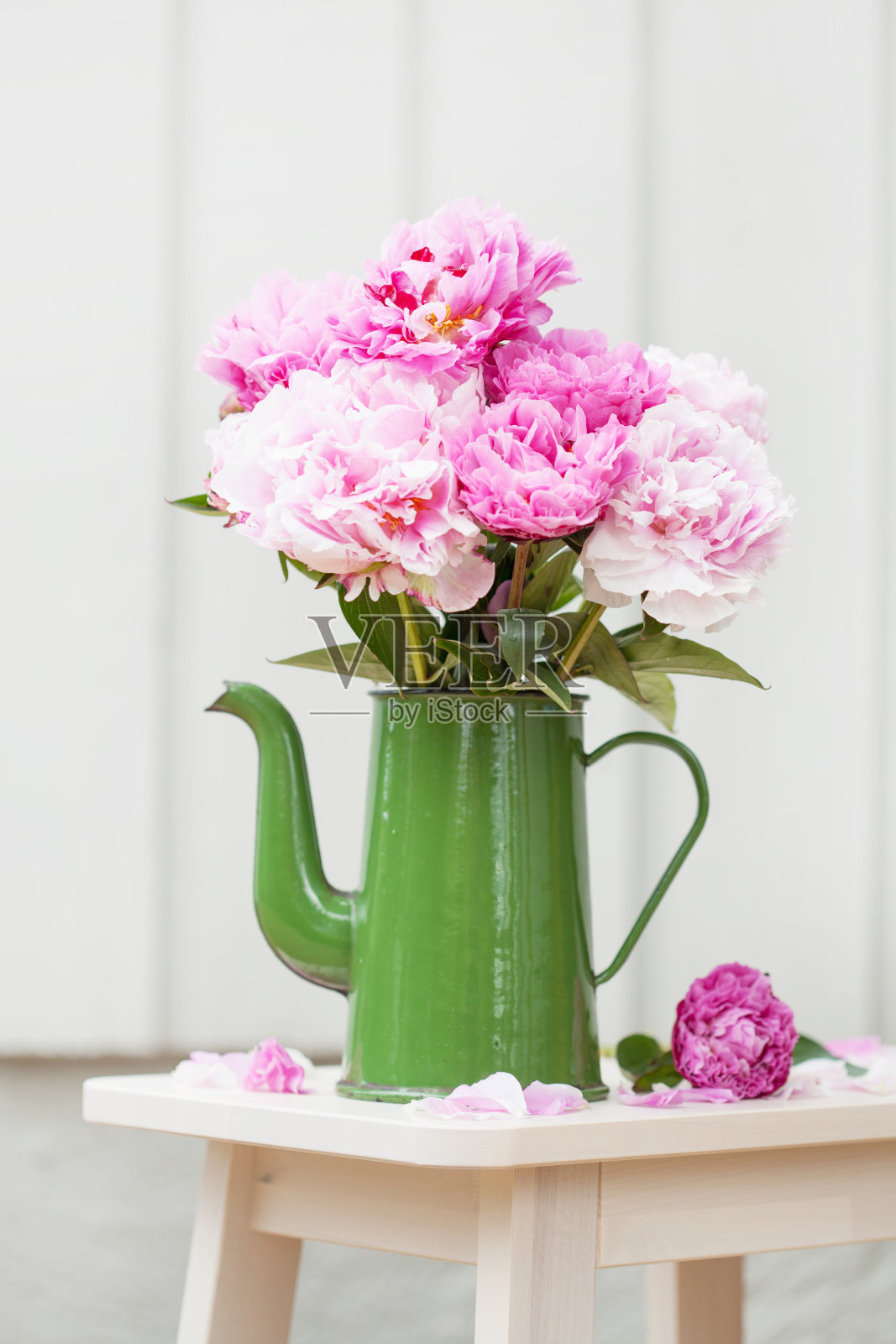 美丽的粉红色牡丹花束在花园里照片摄影图片