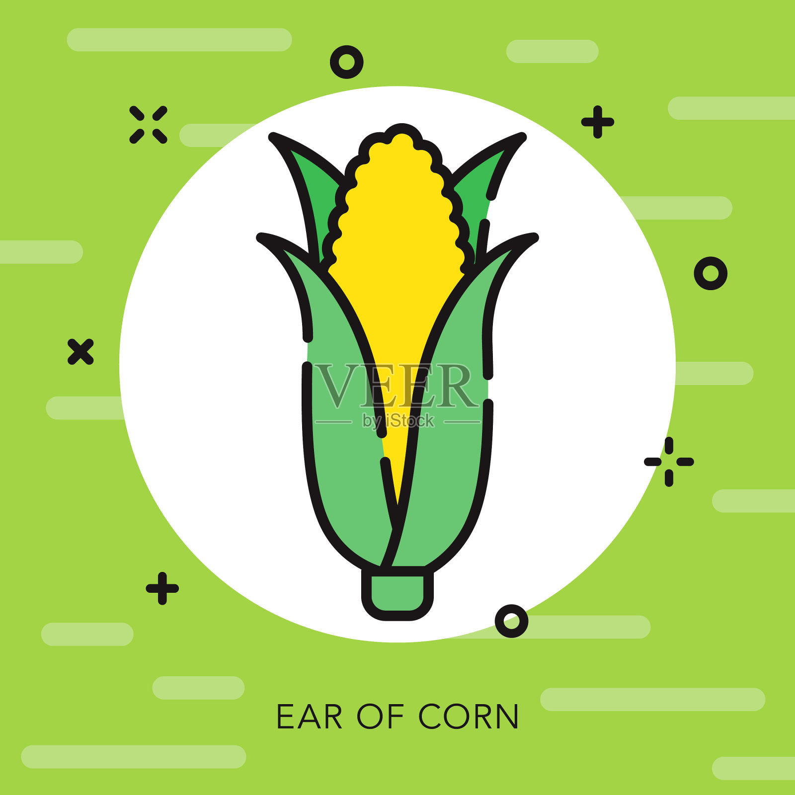 玉米开放轮廓园艺图标插画图片素材