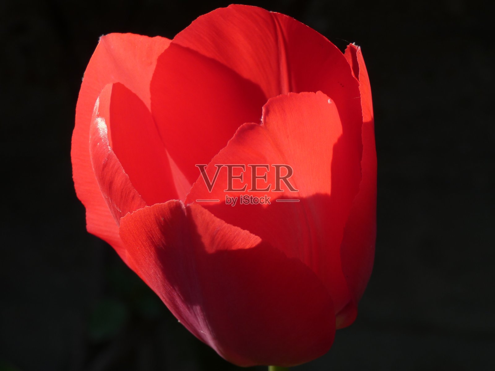 火灾照片摄影图片