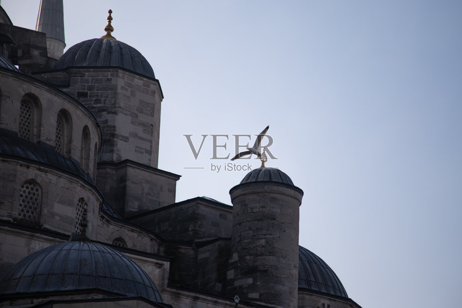 飞越蓝色清真寺照片摄影图片