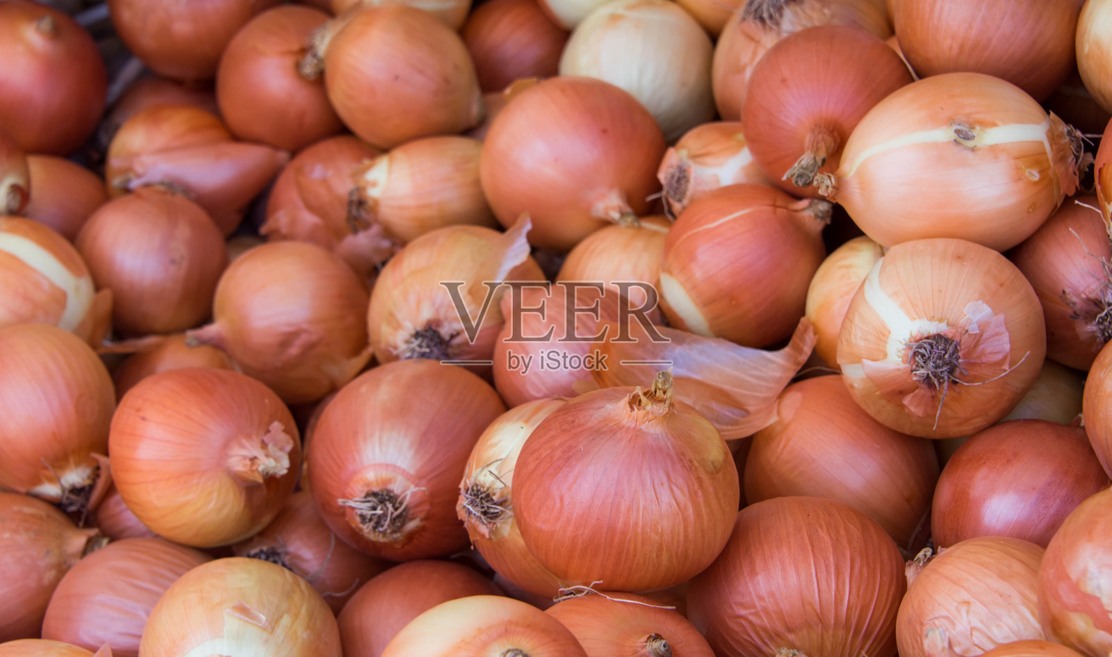 洋葱销售背景照片摄影图片