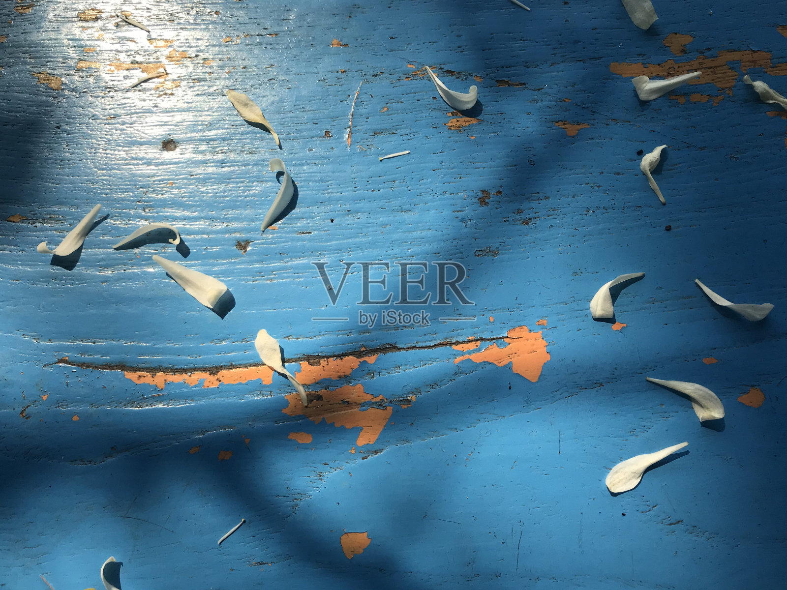 蓝色和橙色的木桌与许多白色的花的叶子和树的影子在白天的光照片摄影图片