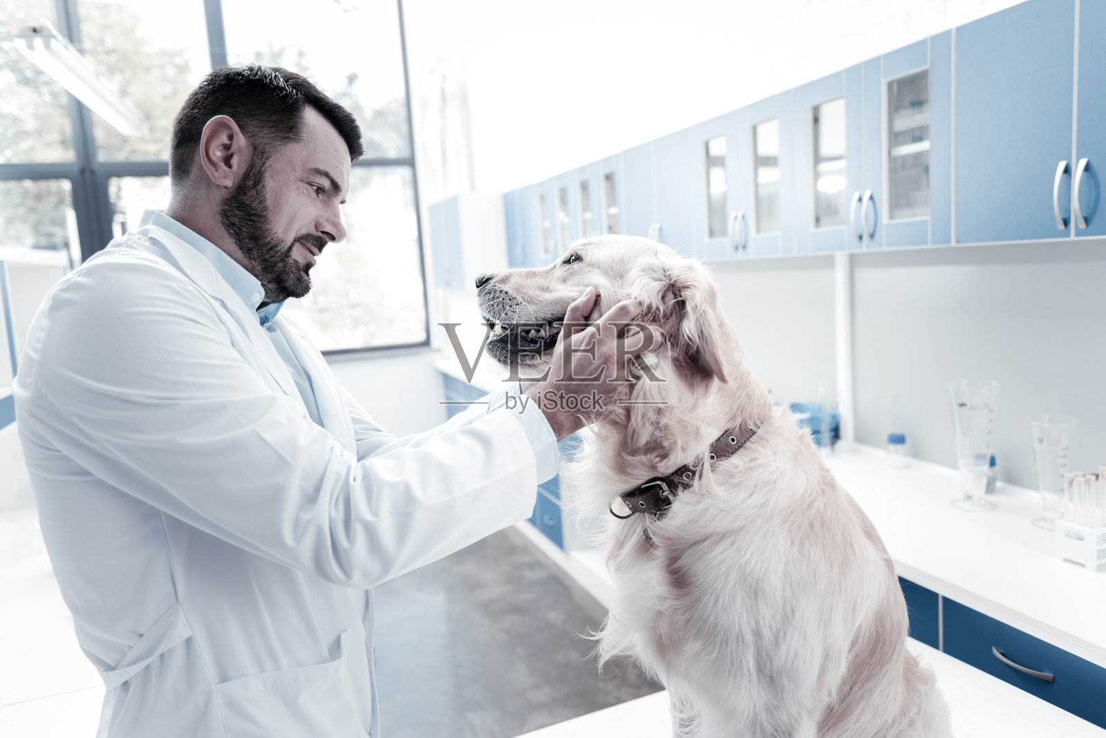 英俊的男人看着狗的牙齿照片摄影图片