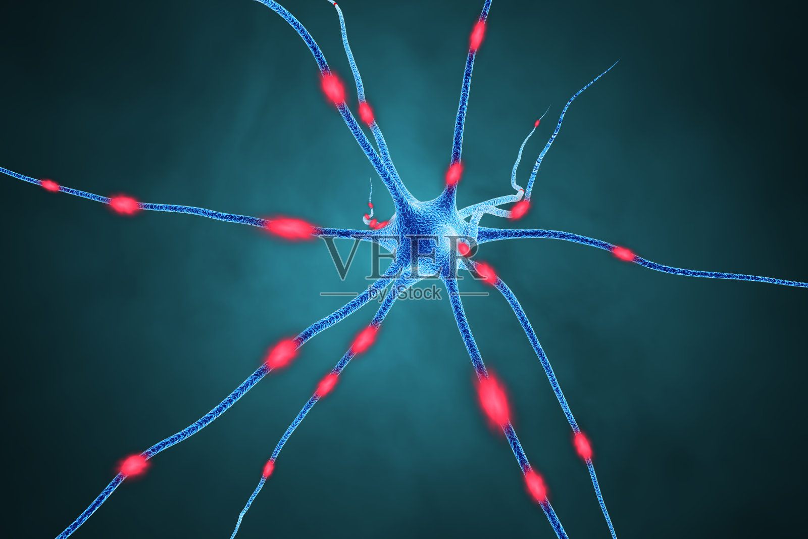 大脑细胞。三维渲染照片摄影图片