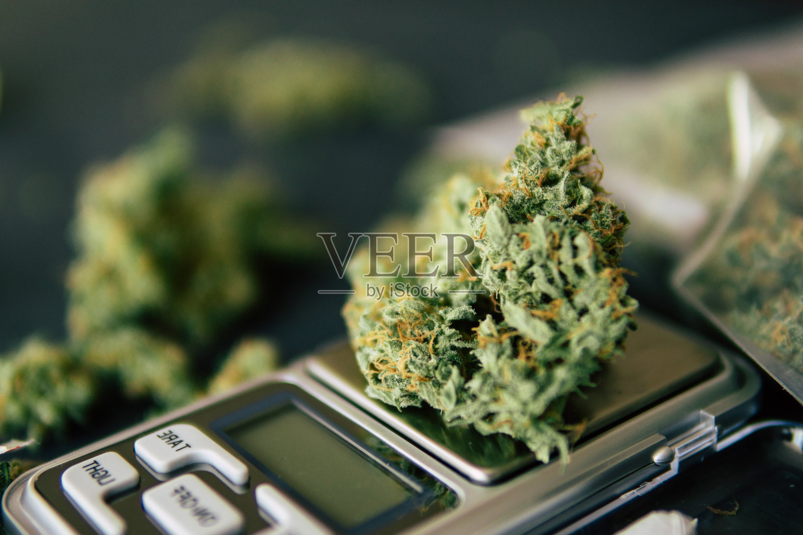 花与毛状体鳞片与黑暗的背景俯视图大麻微距拍摄照片摄影图片