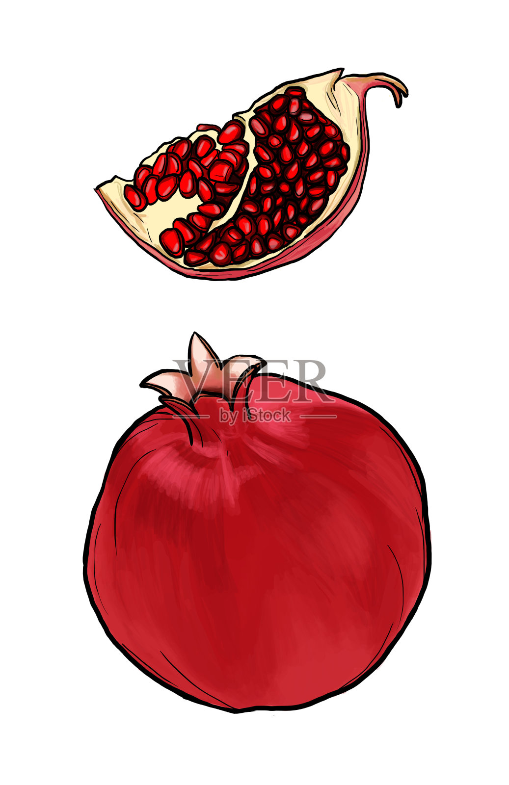 石榴插图插画图片素材