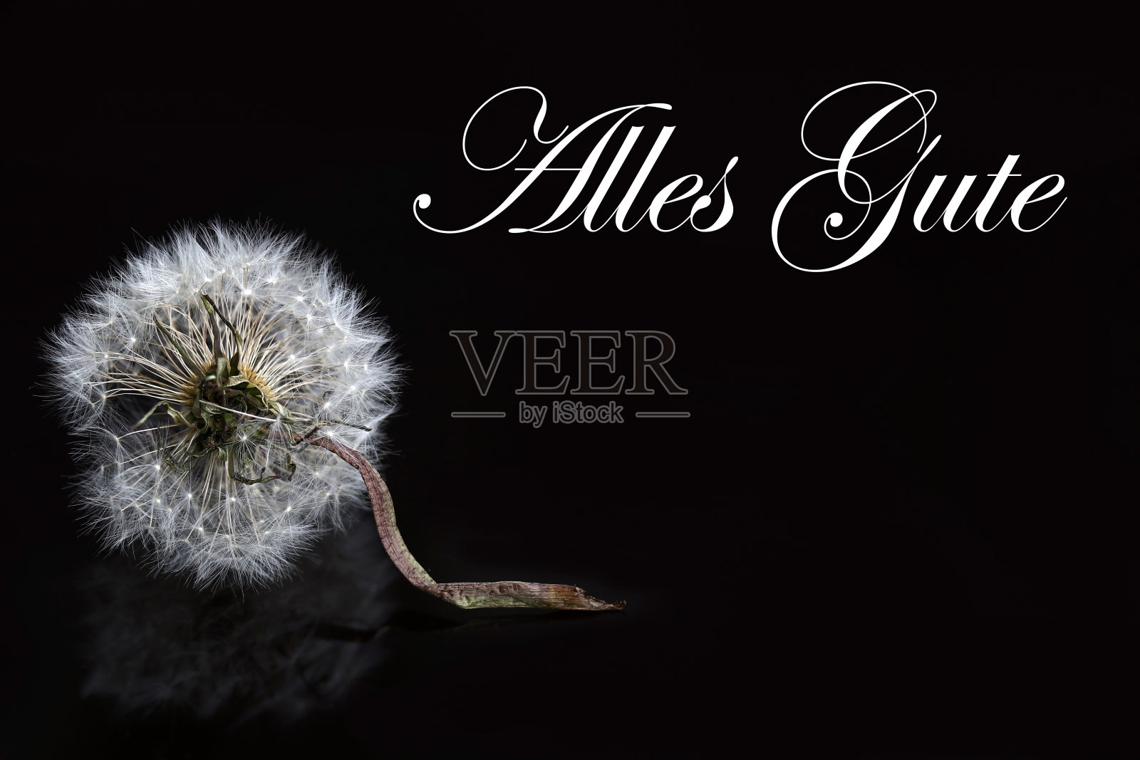 褪色的蒲公英在黑色的背景上写着“一切都好!”的字体照片摄影图片
