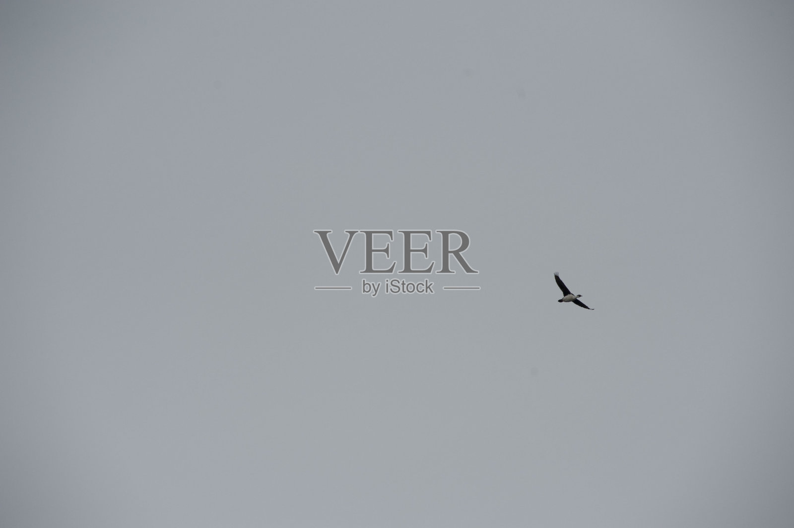 冰川冰照片摄影图片