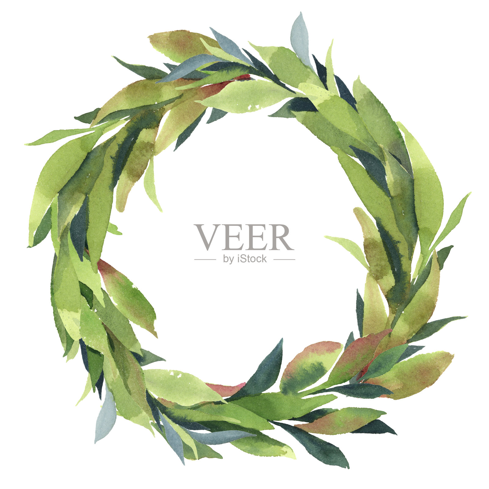 绿色的叶子绿色的树枝花环孤立在白色的背景,圆形框架的单叶插画图片素材