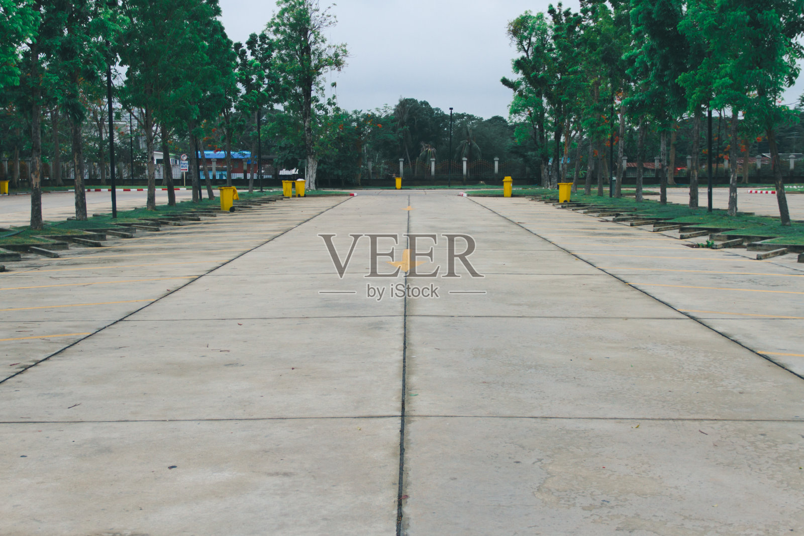 停车场和树木照片摄影图片