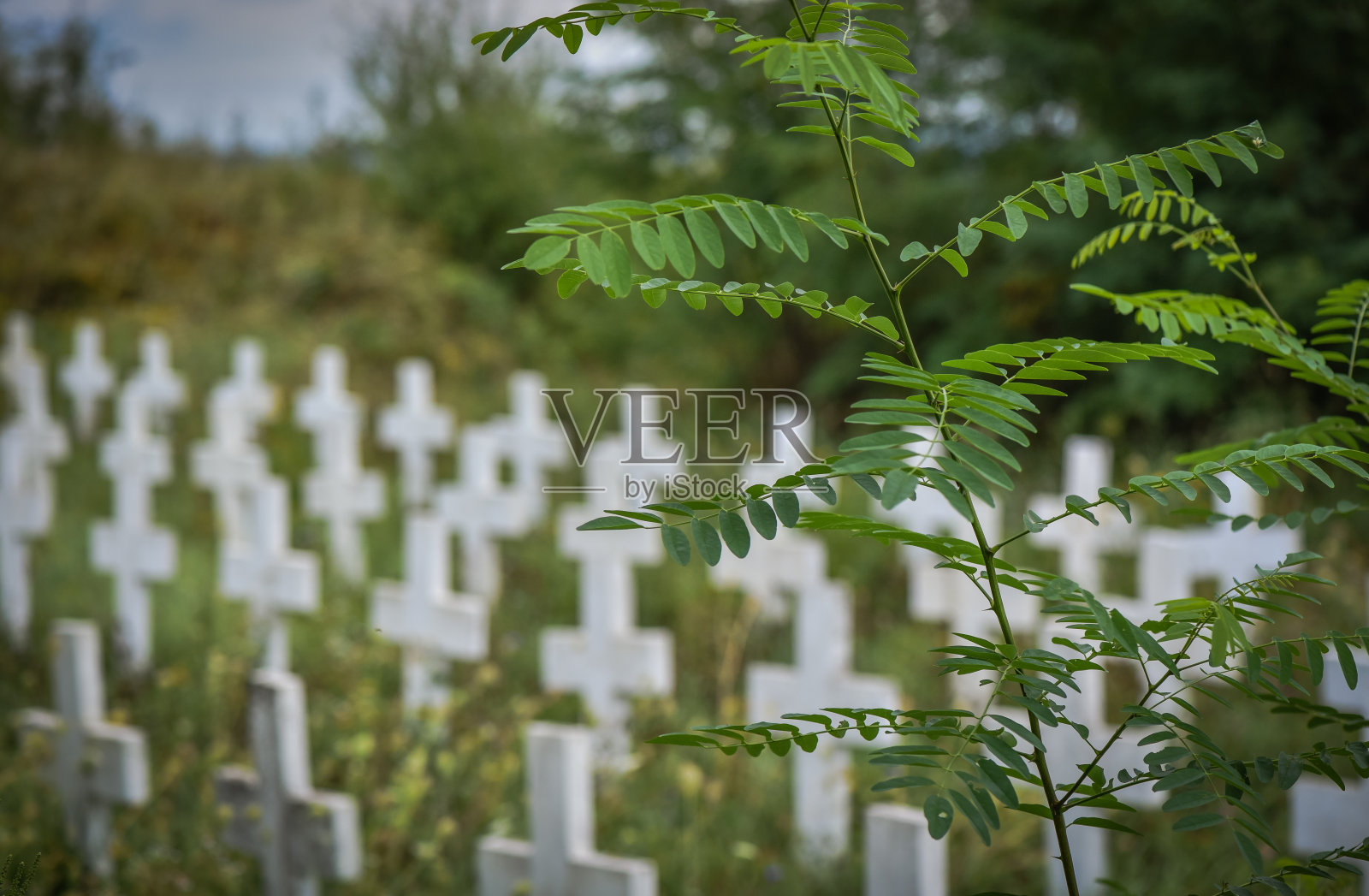 宗教照片摄影图片