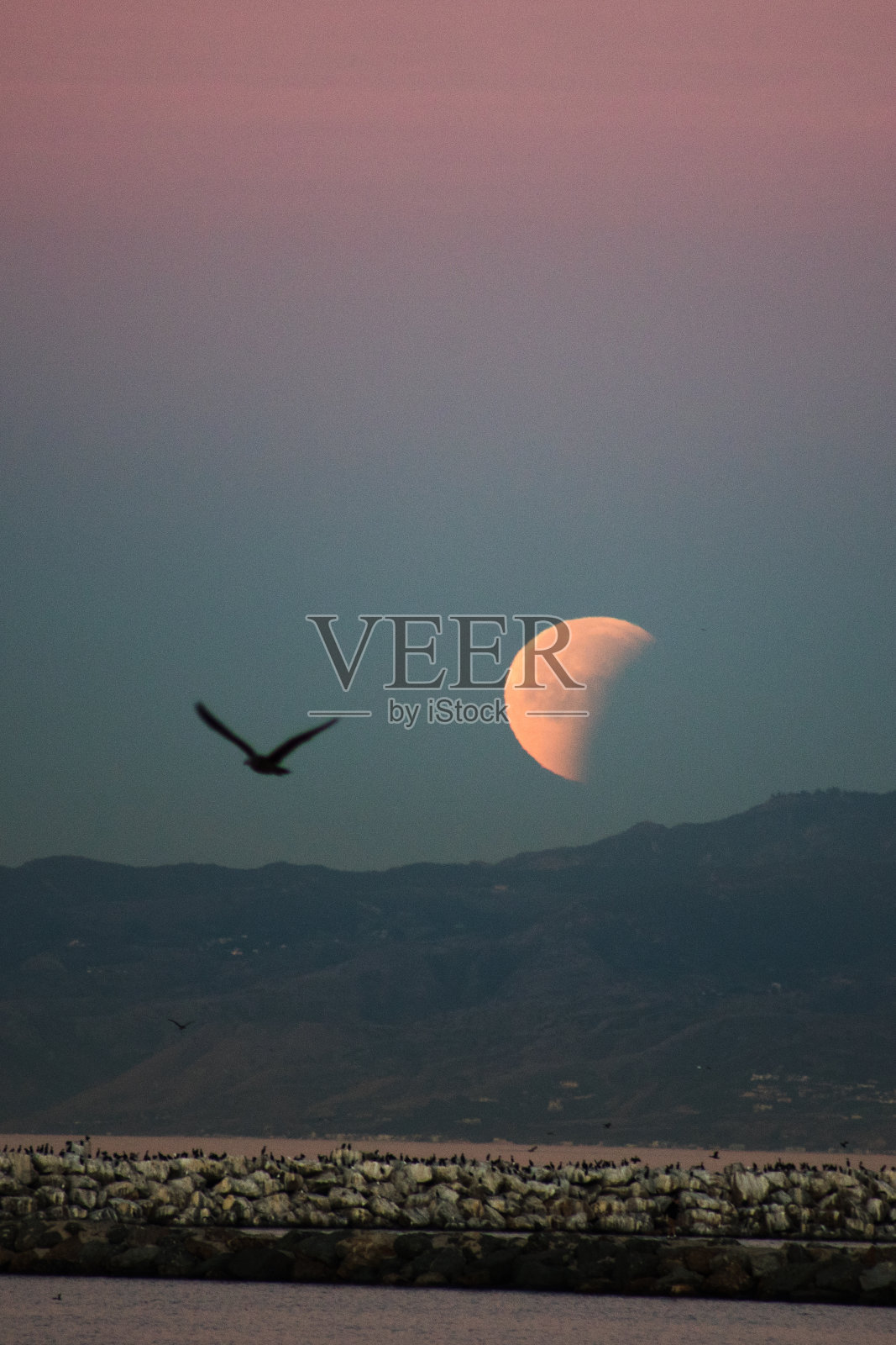 血月照片摄影图片