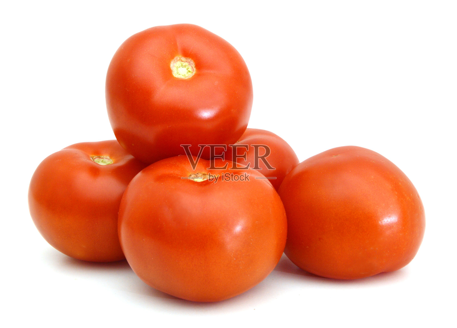 特写西红柿在藤上孤立的白色照片摄影图片