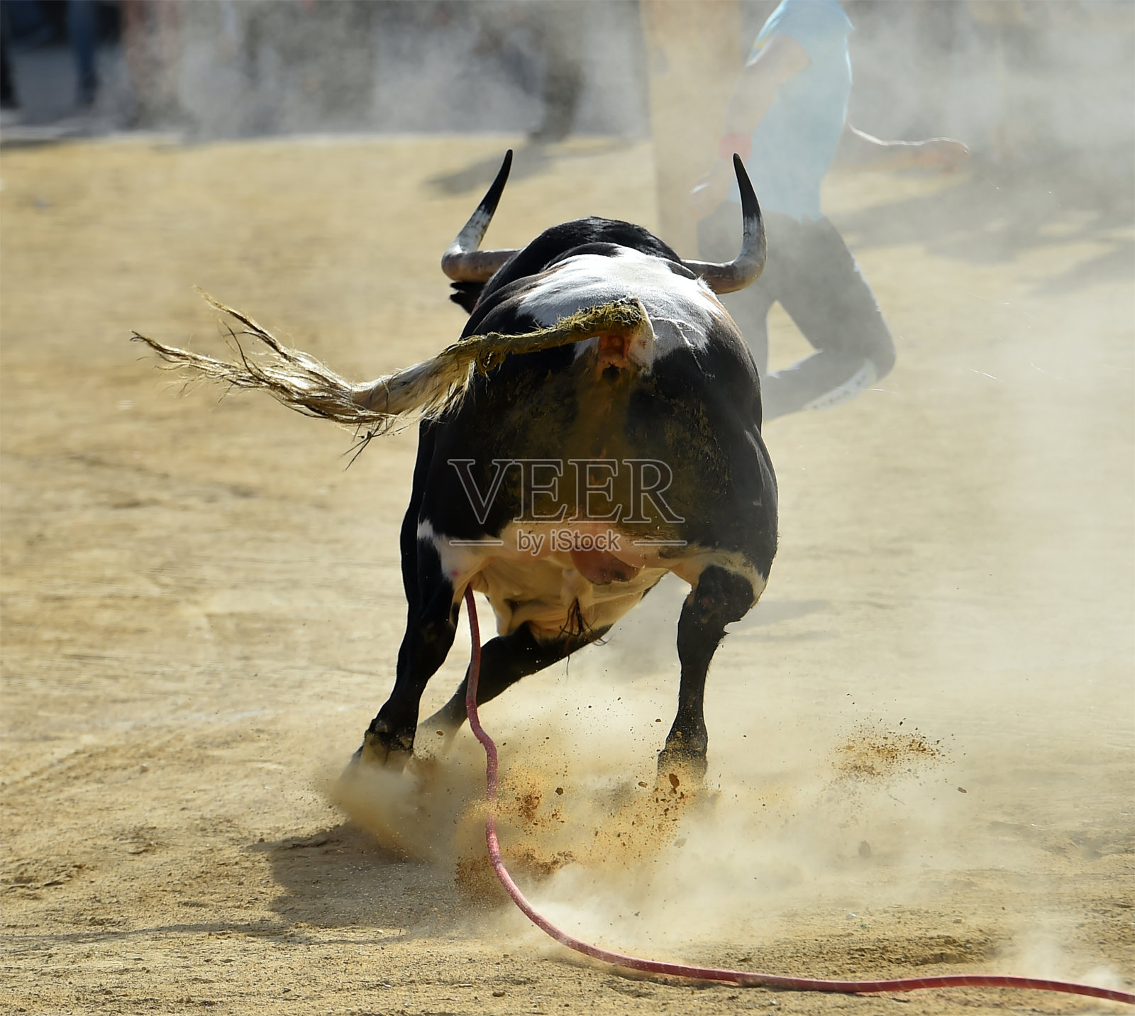 西班牙斗牛在西班牙的传统奇观照片摄影图片
