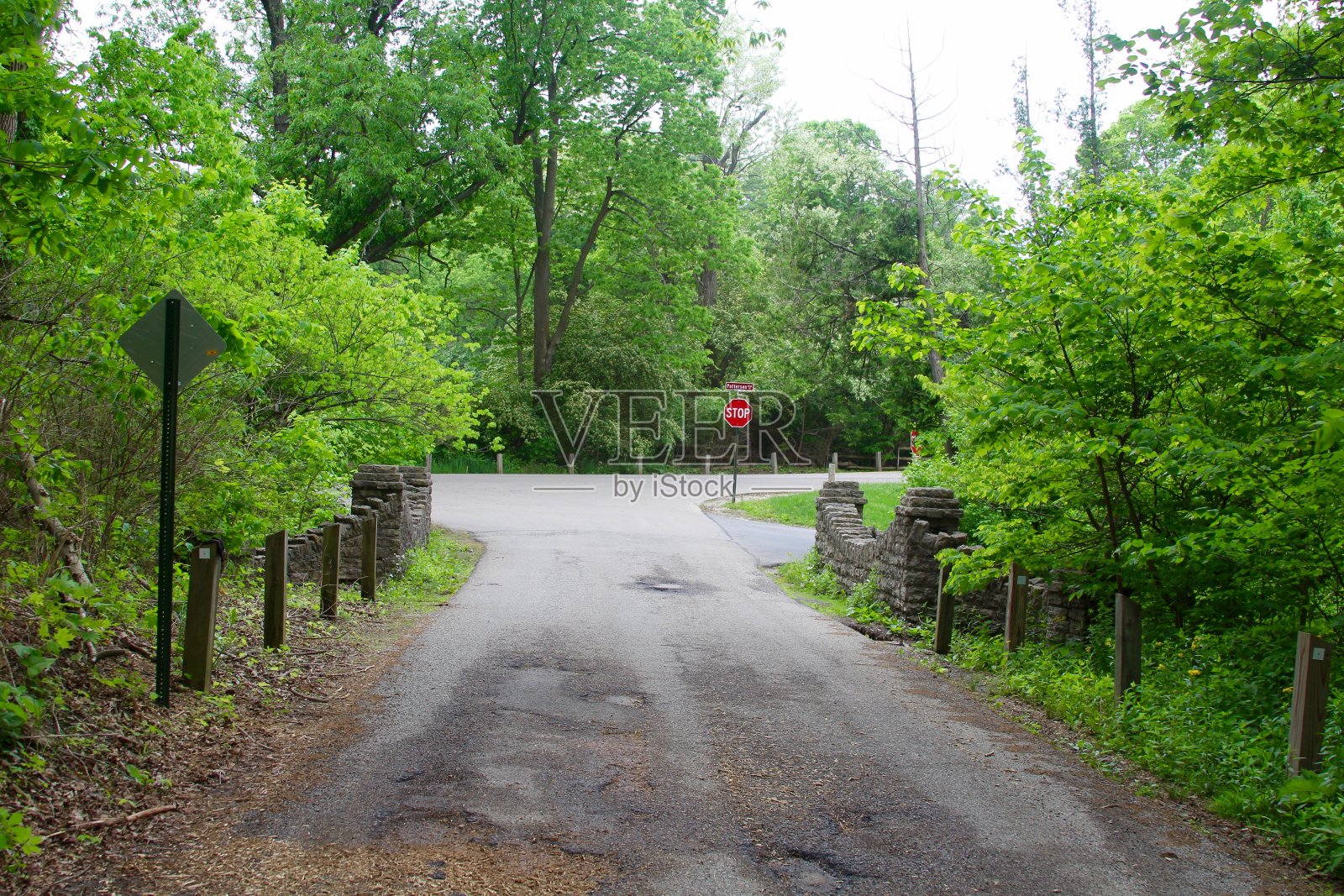 公园路照片摄影图片