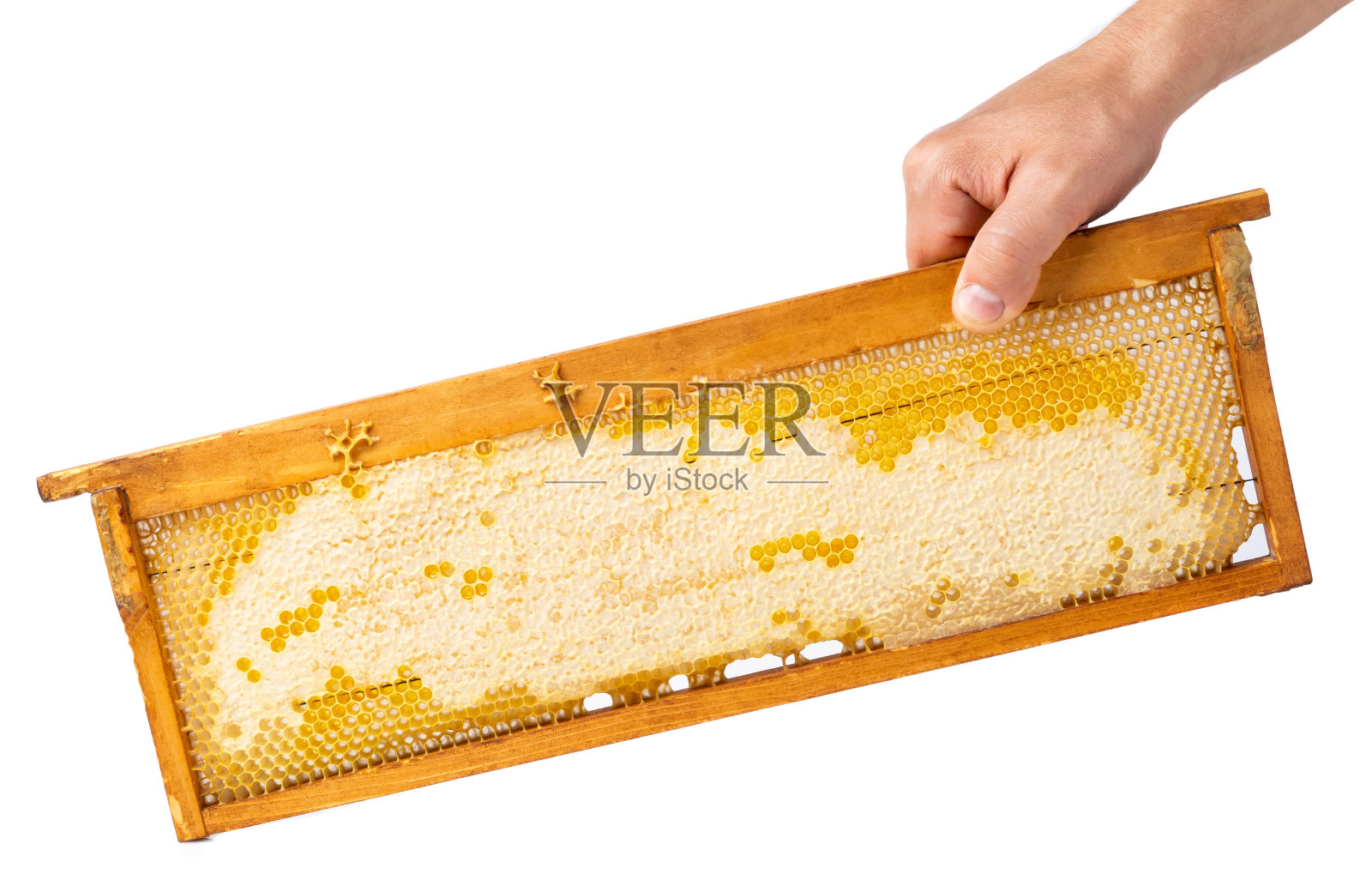 雄性的手拿着一个装满新鲜蜂蜜的蜂巢。孤立在白色背景上。蜂蜜是一种超级食物。照片摄影图片