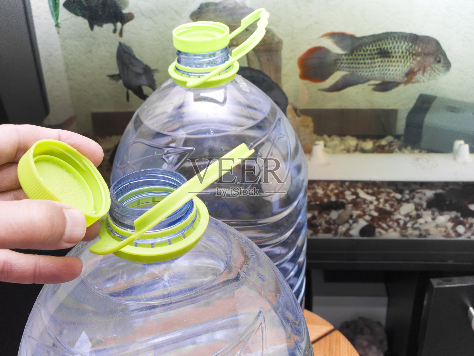 鱼缸换水照片摄影图片