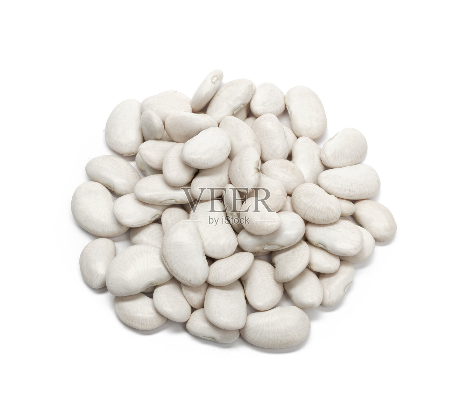 白豆照片摄影图片