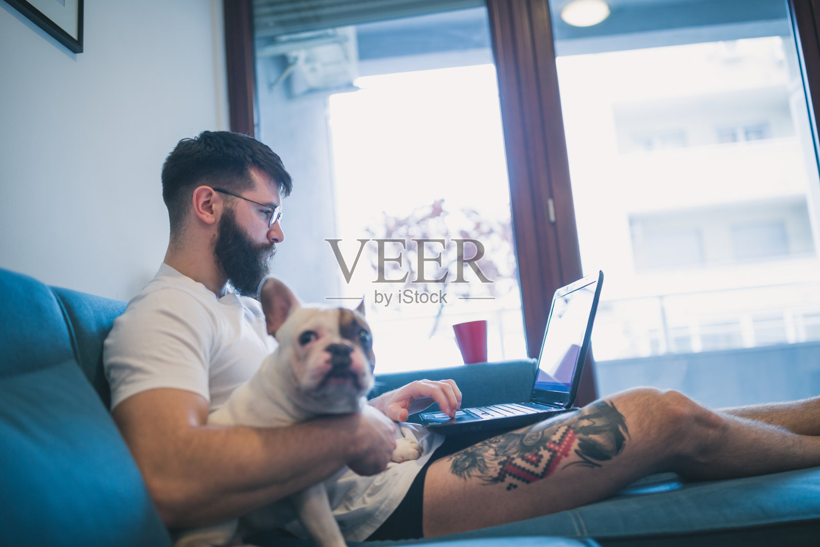 帅气的潮男和他的狗坐在客厅的沙发上,用着笔记本电脑照片摄影图片