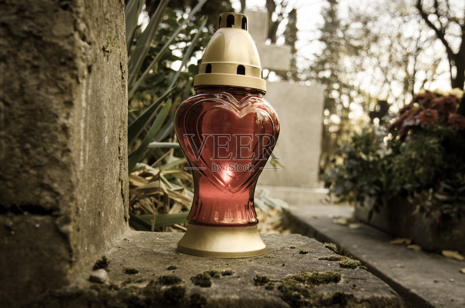 万圣节照片摄影图片