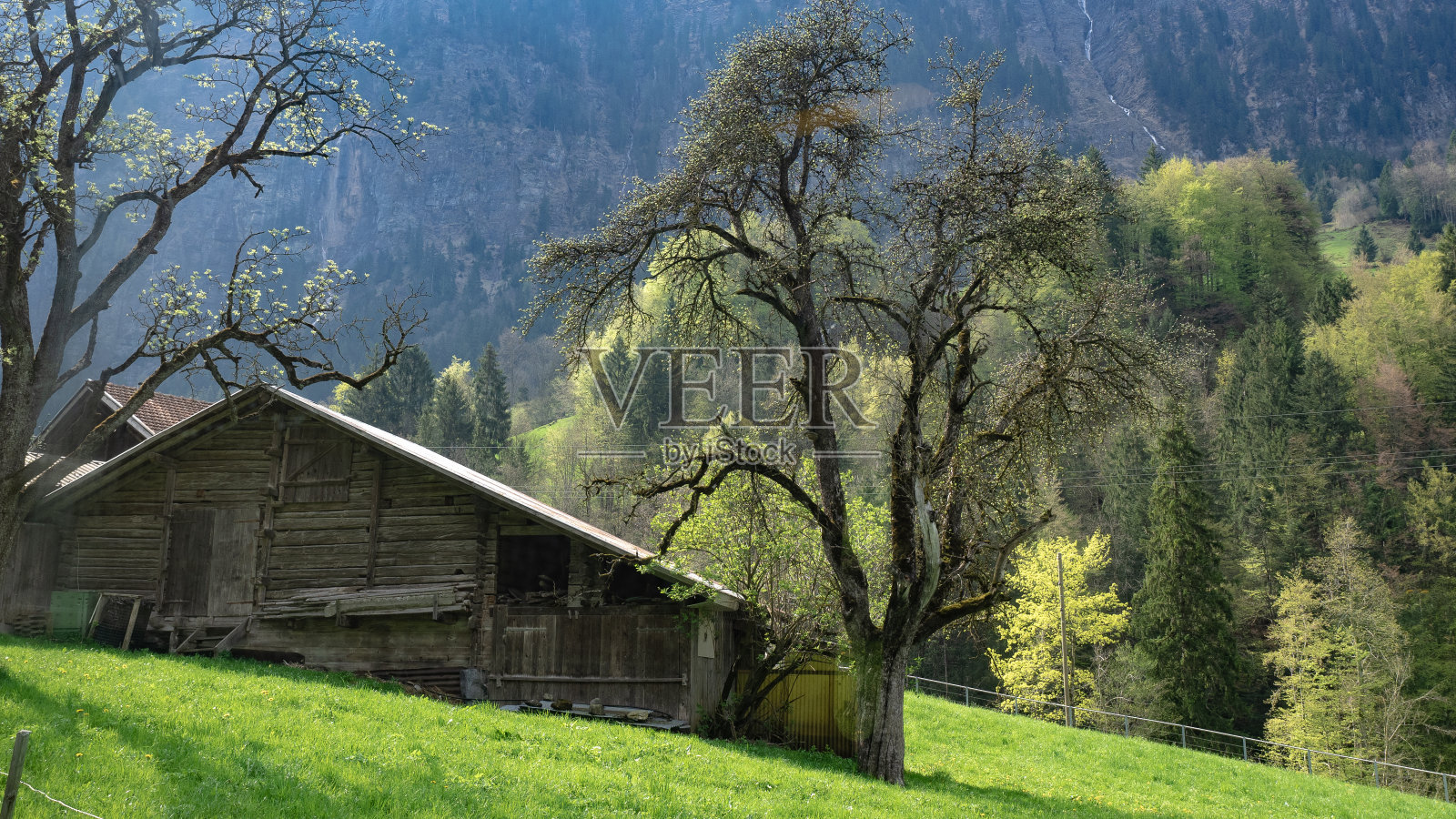 假期的照片照片摄影图片