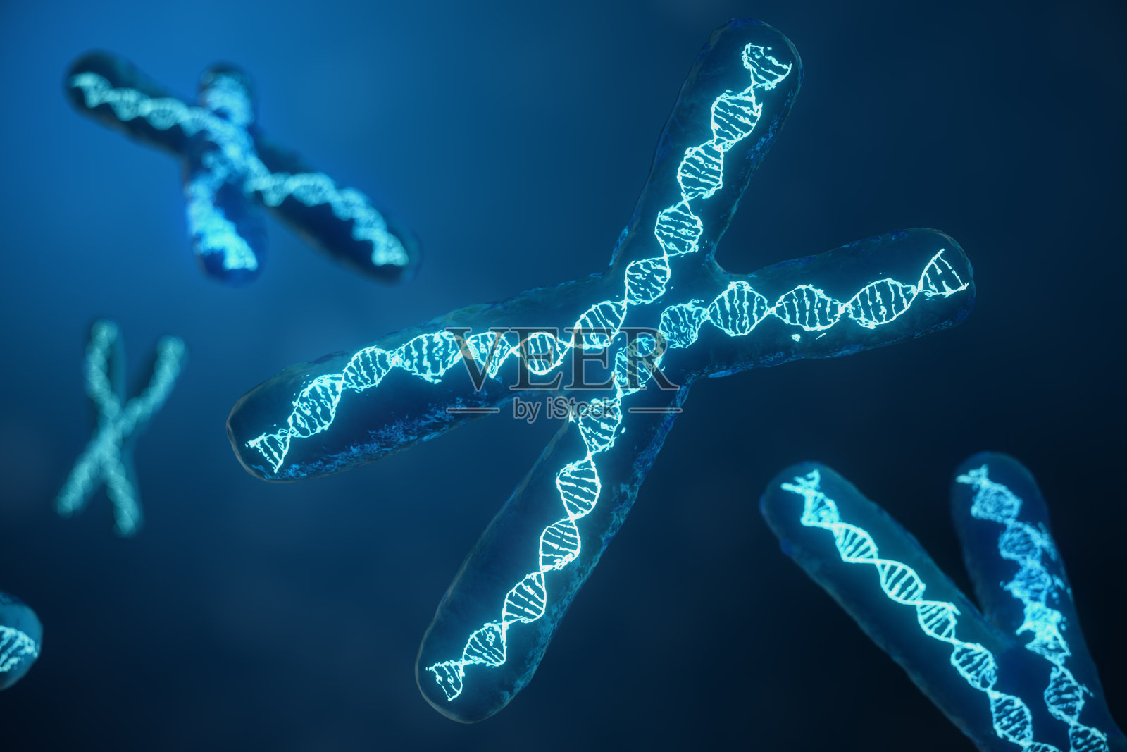 3D插图x染色体与携带遗传密码的DNA。遗传学概念,医学概念。未来,基因突变。在生物层面改变遗传密码。照片摄影图片
