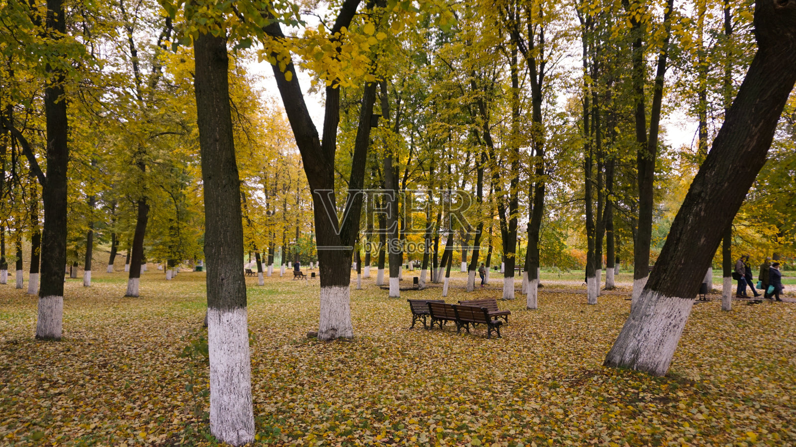 莫斯科的秋天照片摄影图片