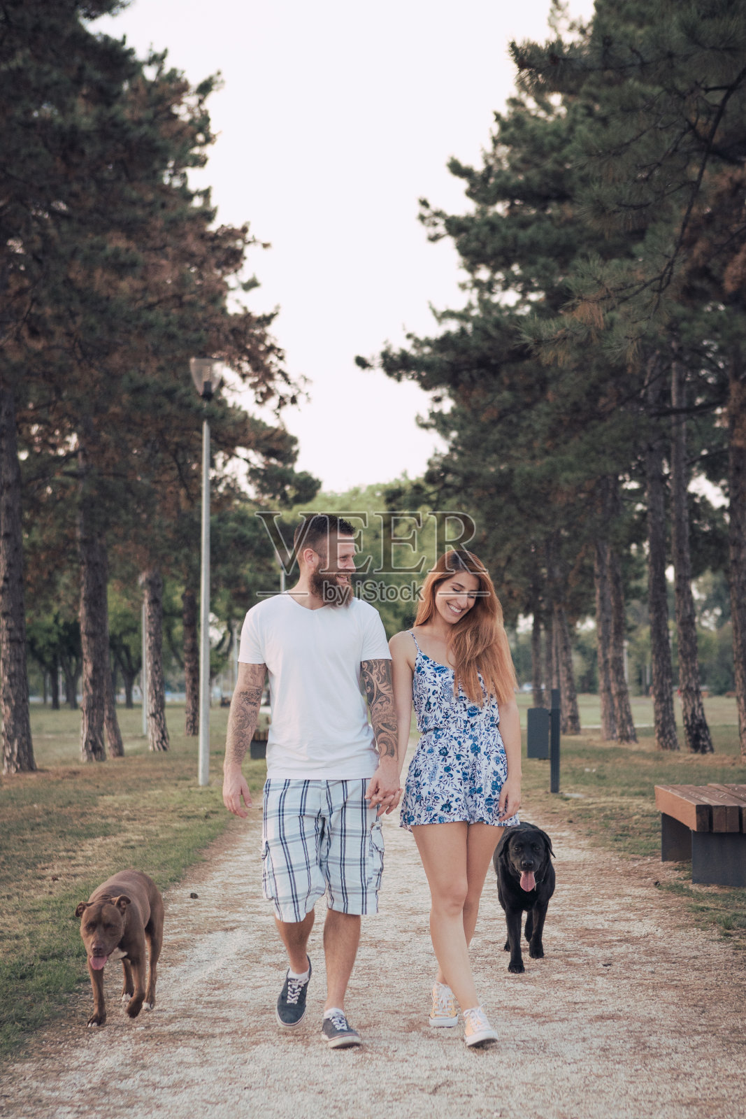 一对美丽的夫妇在户外和他们的狗玩耍照片摄影图片