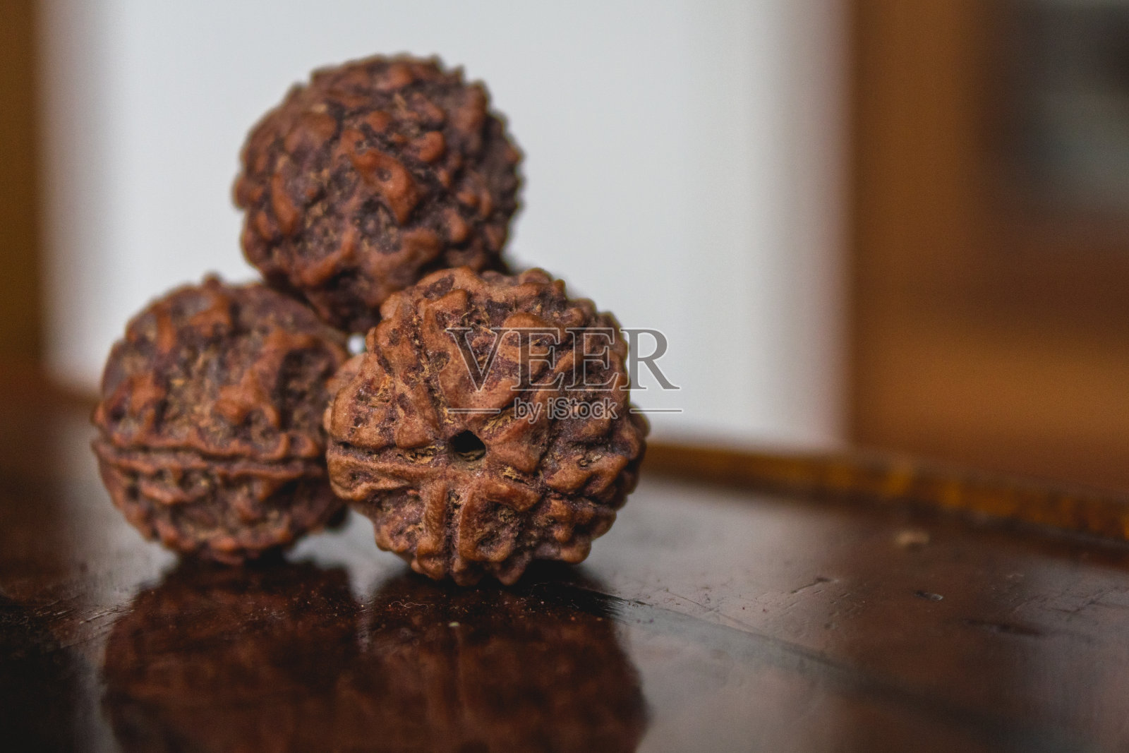 大五脸mukhi Rudraksh种子宏照片摄影图片