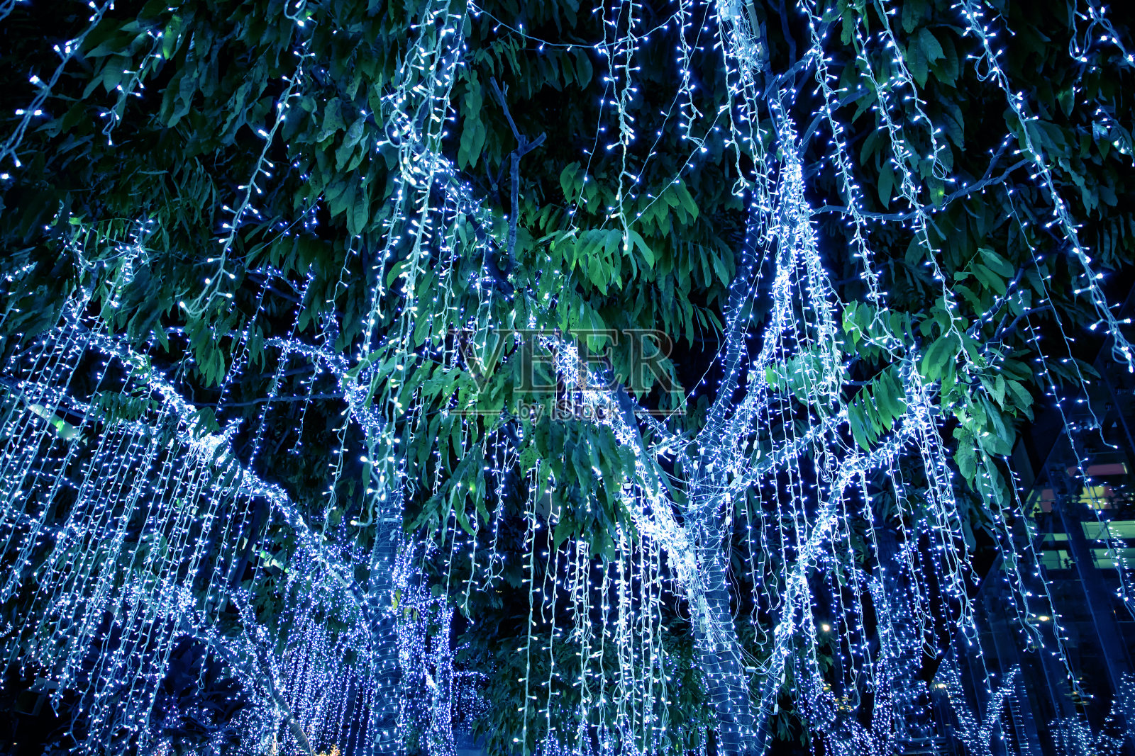 近距离观看在夜晚装饰的树和灯照片摄影图片