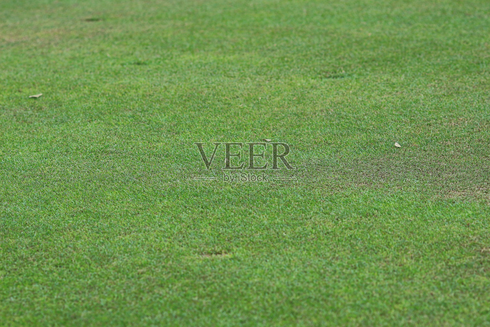 香港完美的草地高尔夫球场照片摄影图片