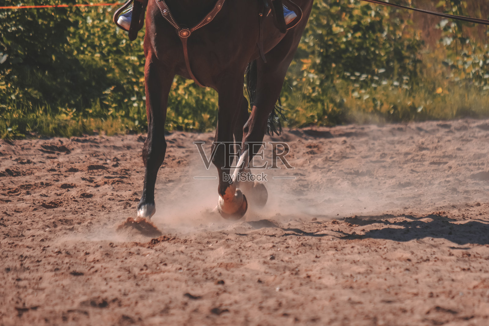 棕色的马蹄在沙场制造灰尘-复古复古的外观照片摄影图片