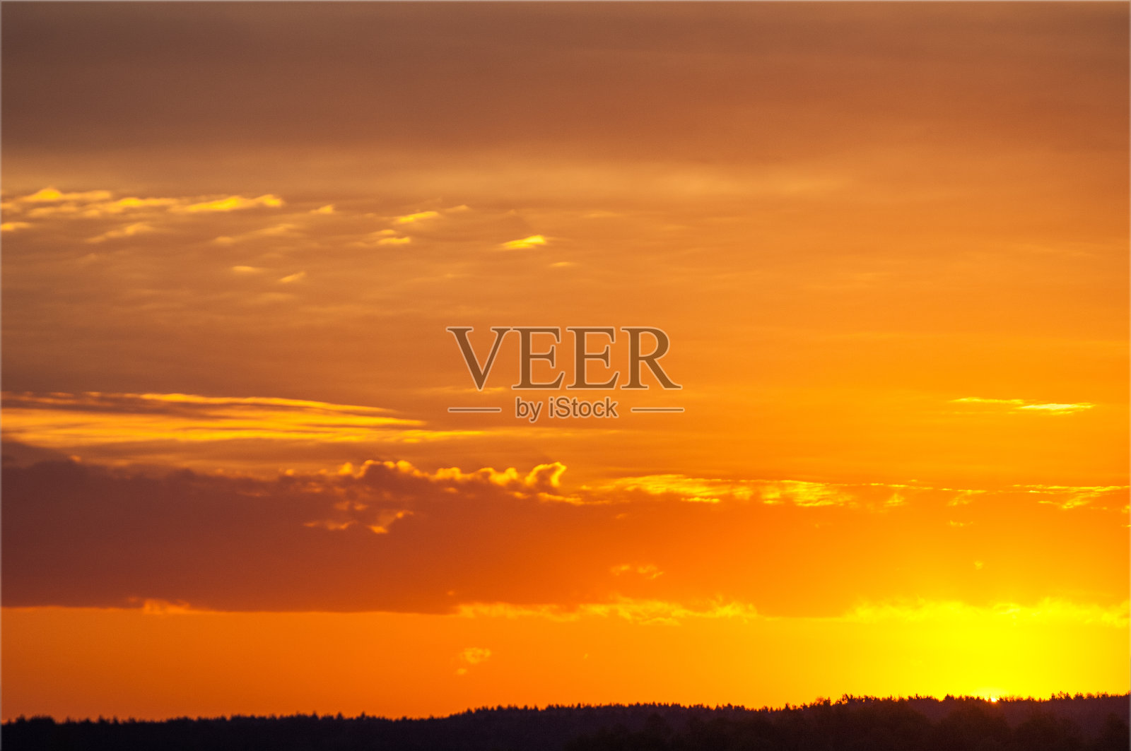 质地、背景、模式。树被烧焦了。烧焦的木头。烧焦的木头或有裂缝的木炭纹理。照片摄影图片