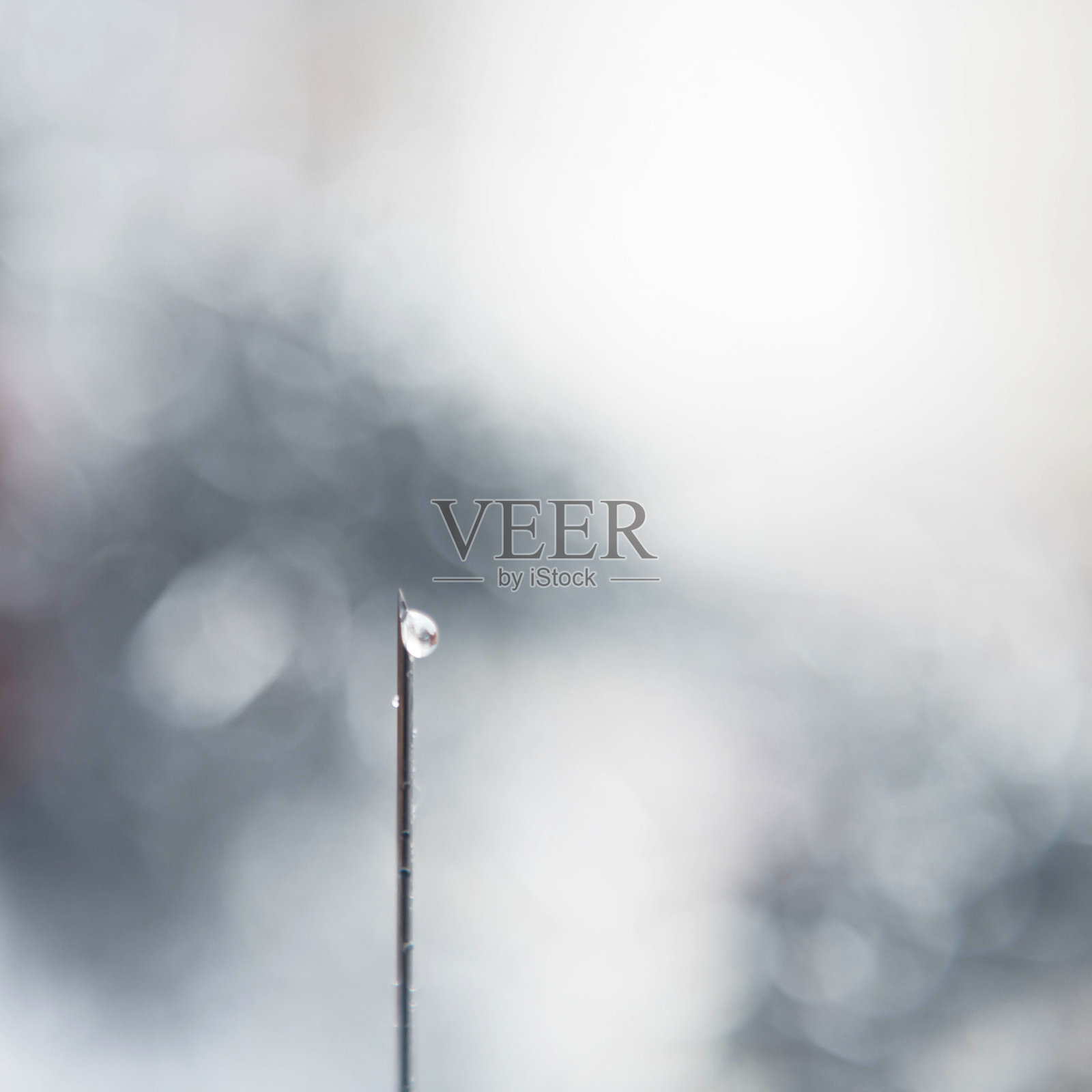 带针的医疗注射器。注射器、医疗注射剂、药液或麻醉品。照片摄影图片