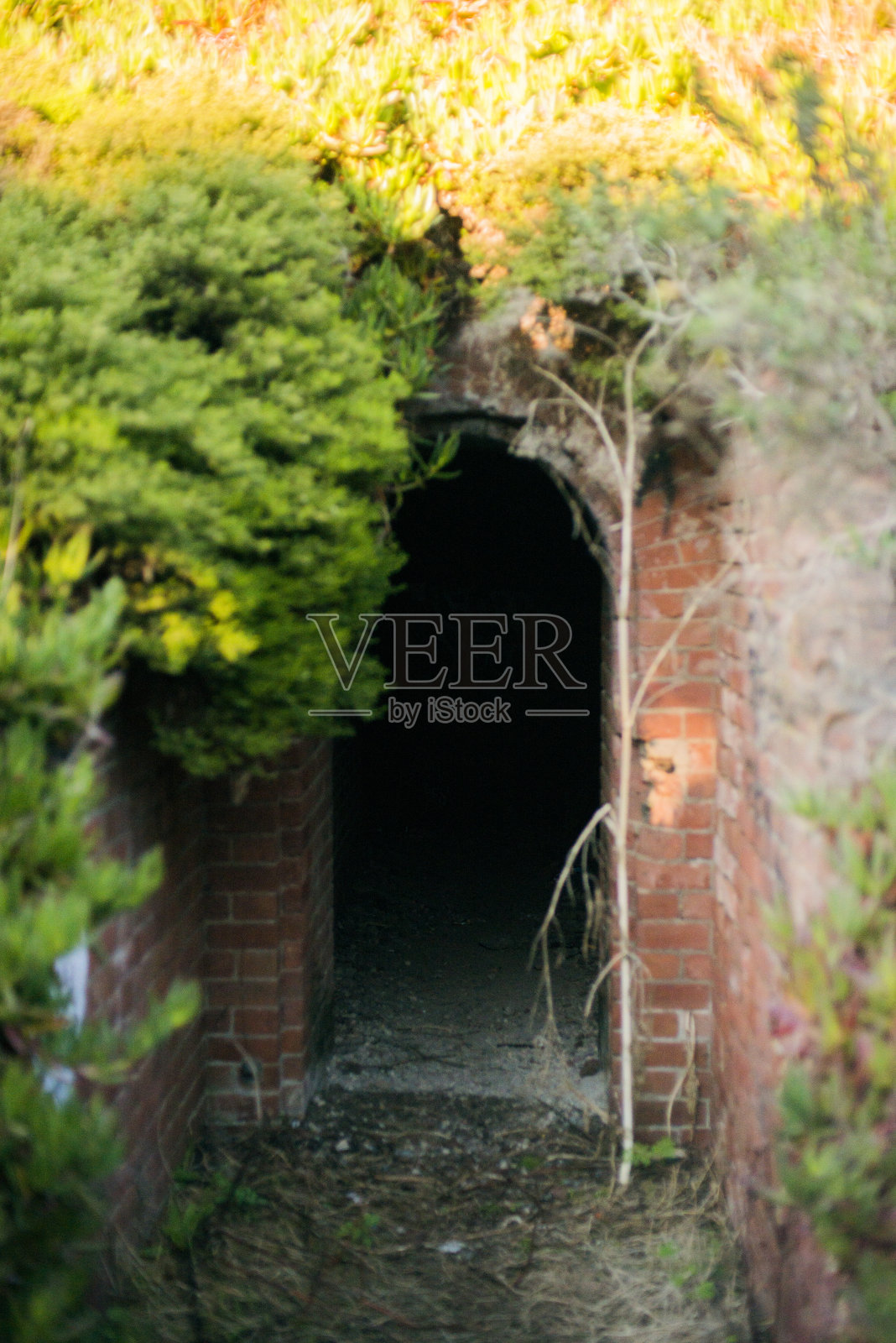 美国,加利福尼亚,西部,费用,旅行照片摄影图片