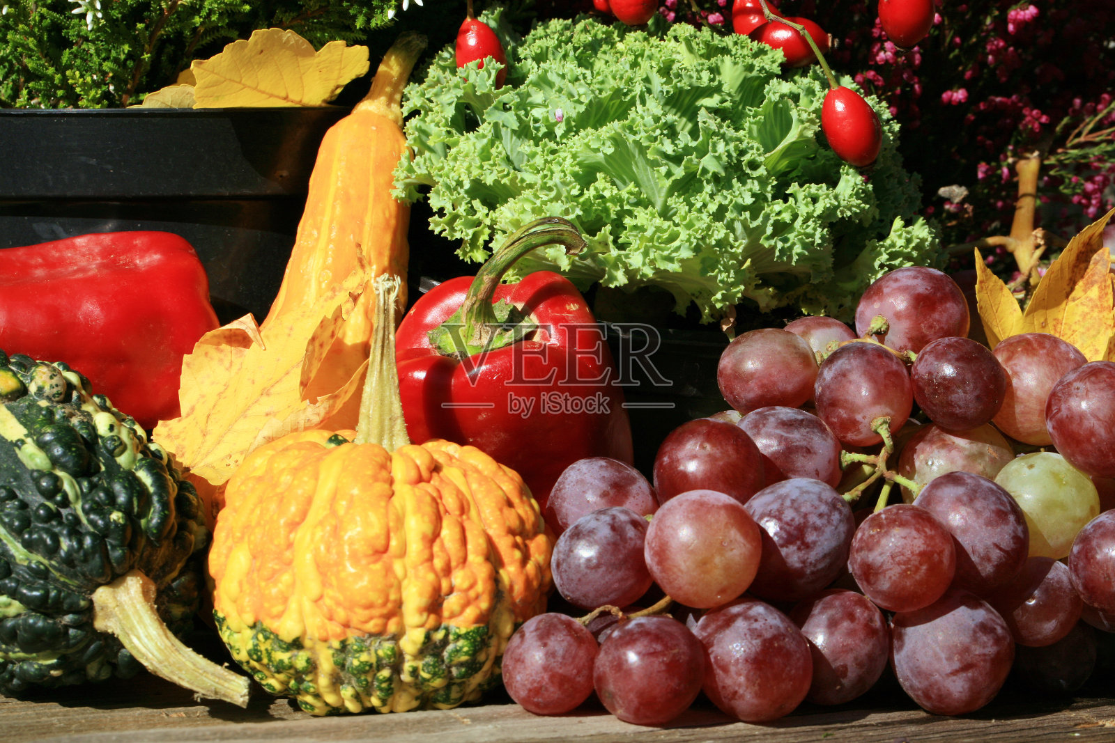 波兰农场里别致的小装饰。照片摄影图片